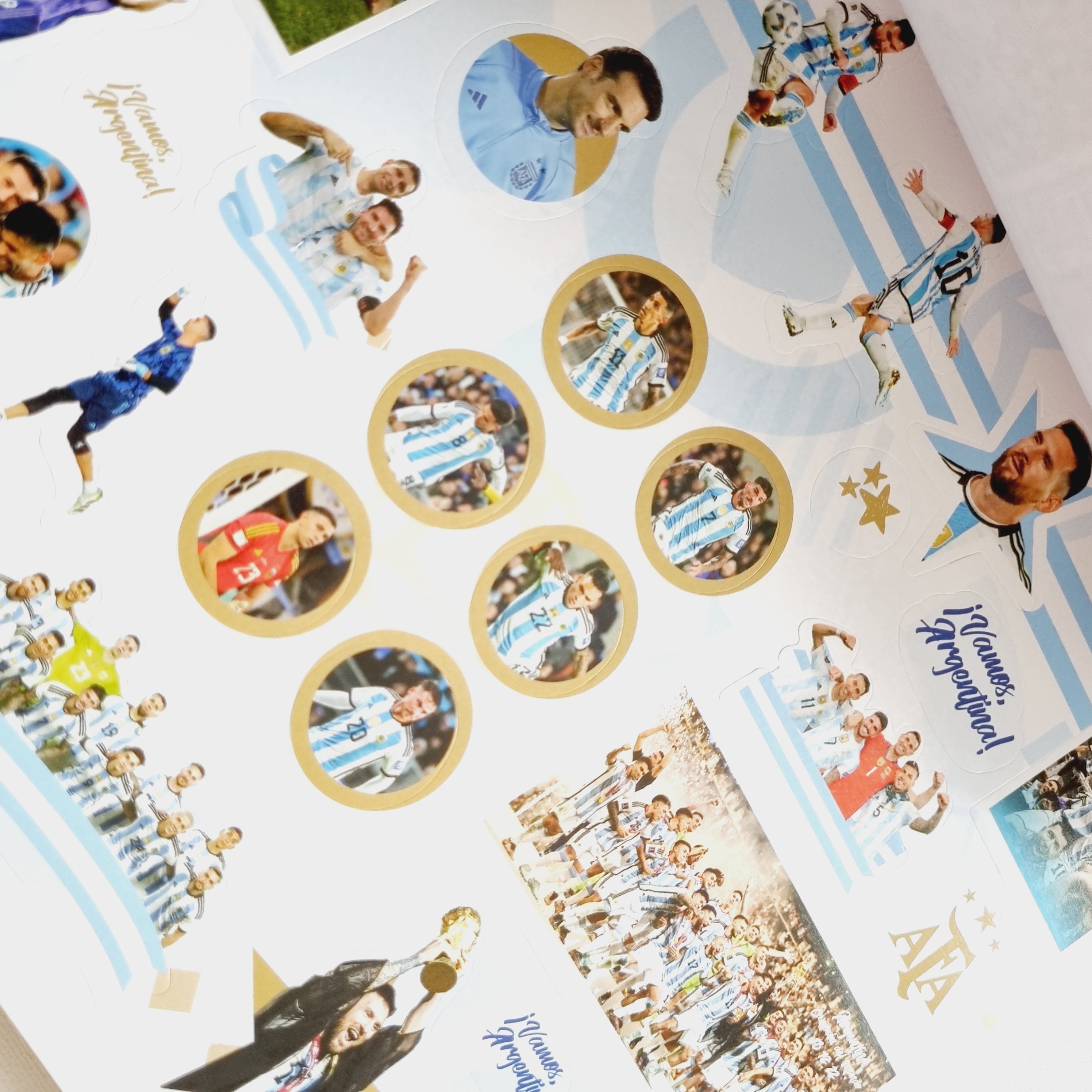 Busca y encuentra a la selección