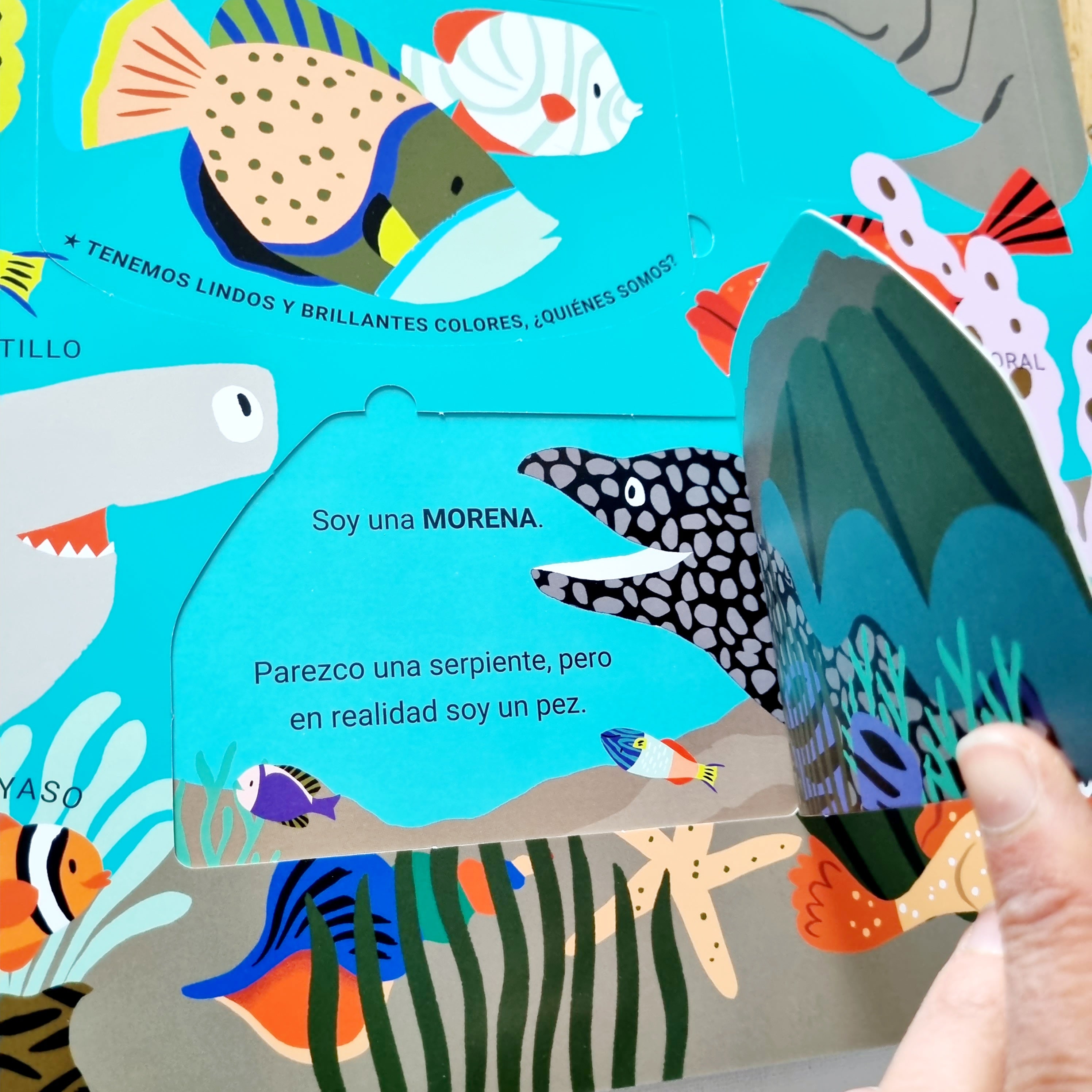 Mi primer libro gigante de animales
