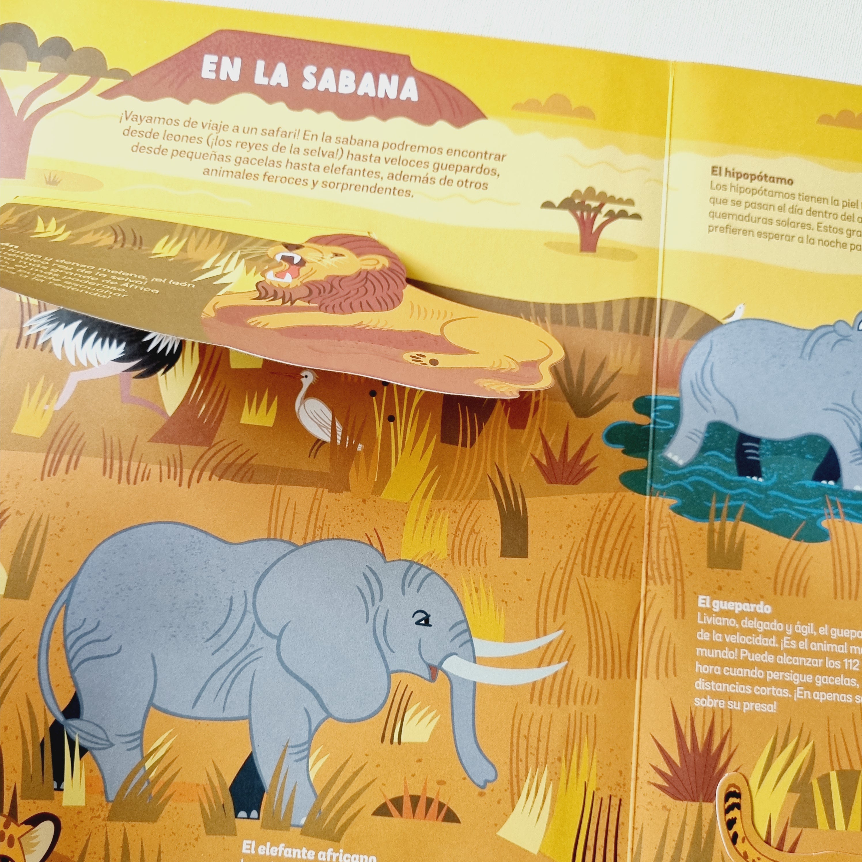 Los animales salvajes