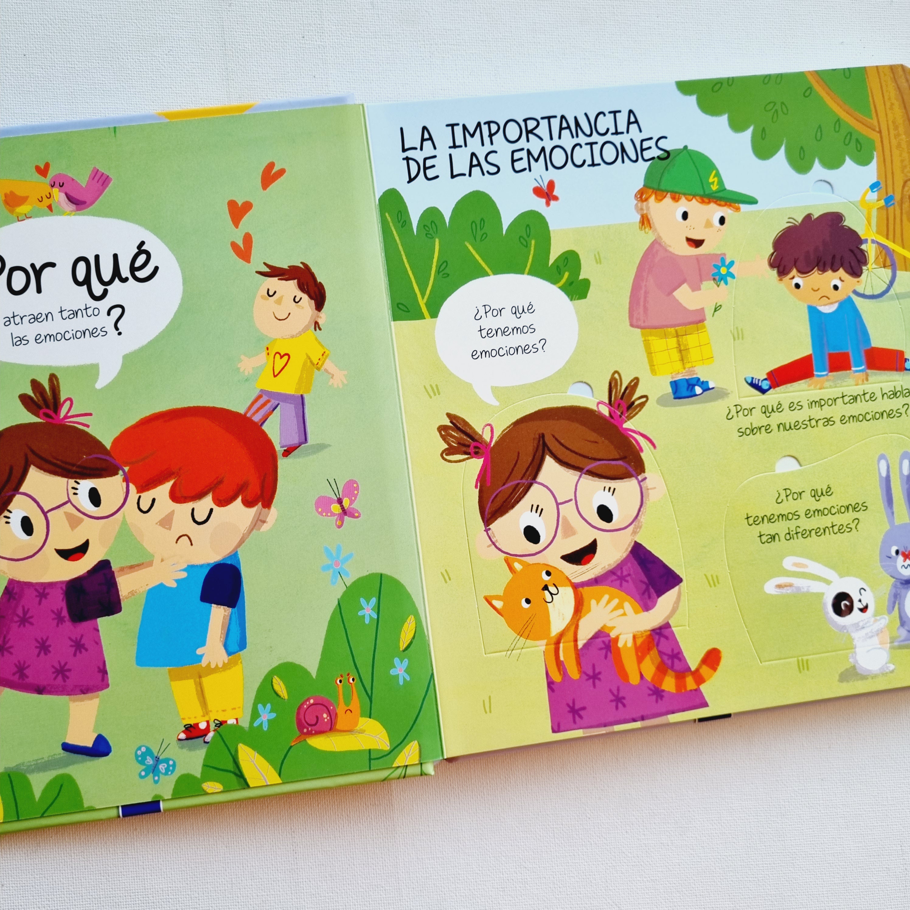 ¿Por qué? Mis emociones