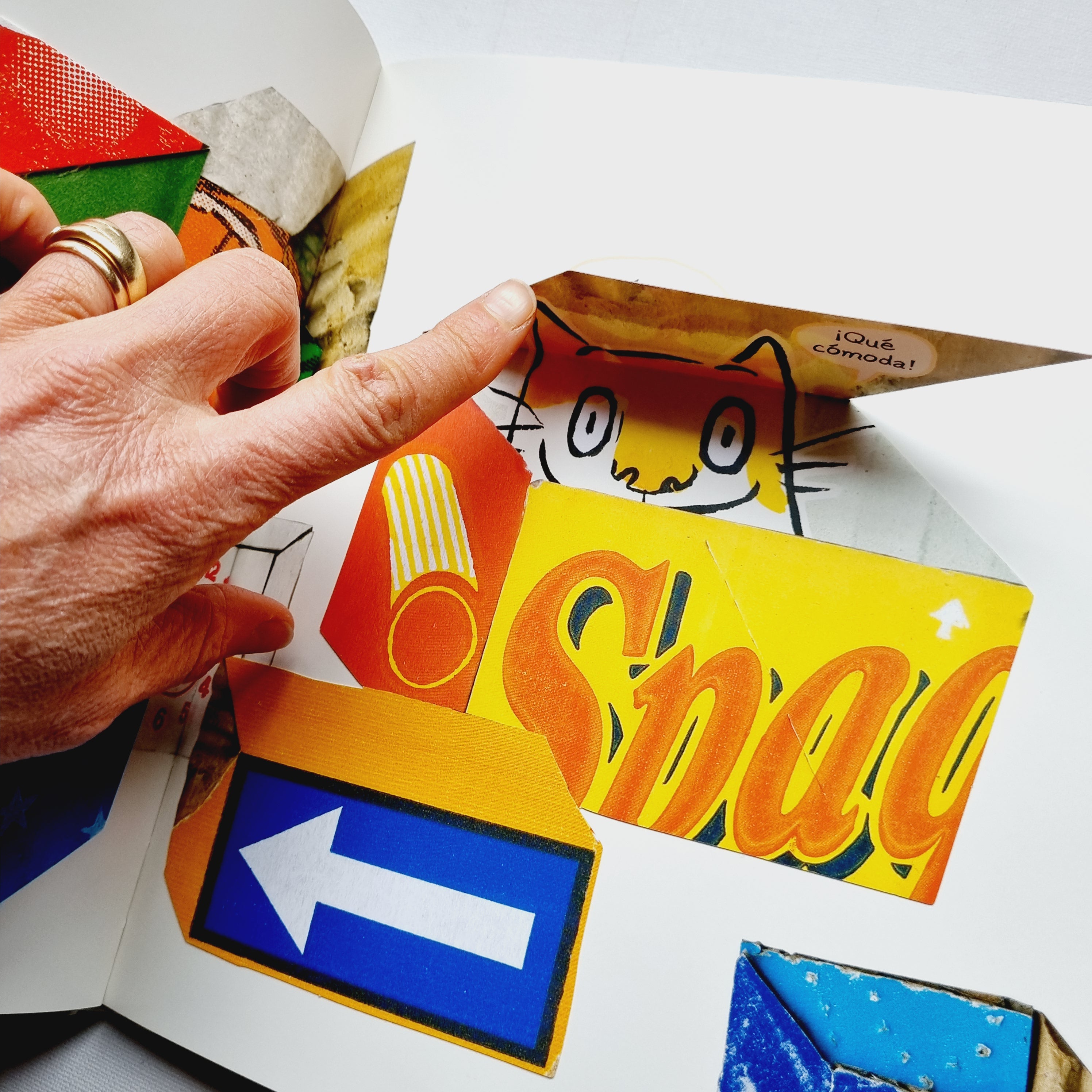 Hay gatos en este libro