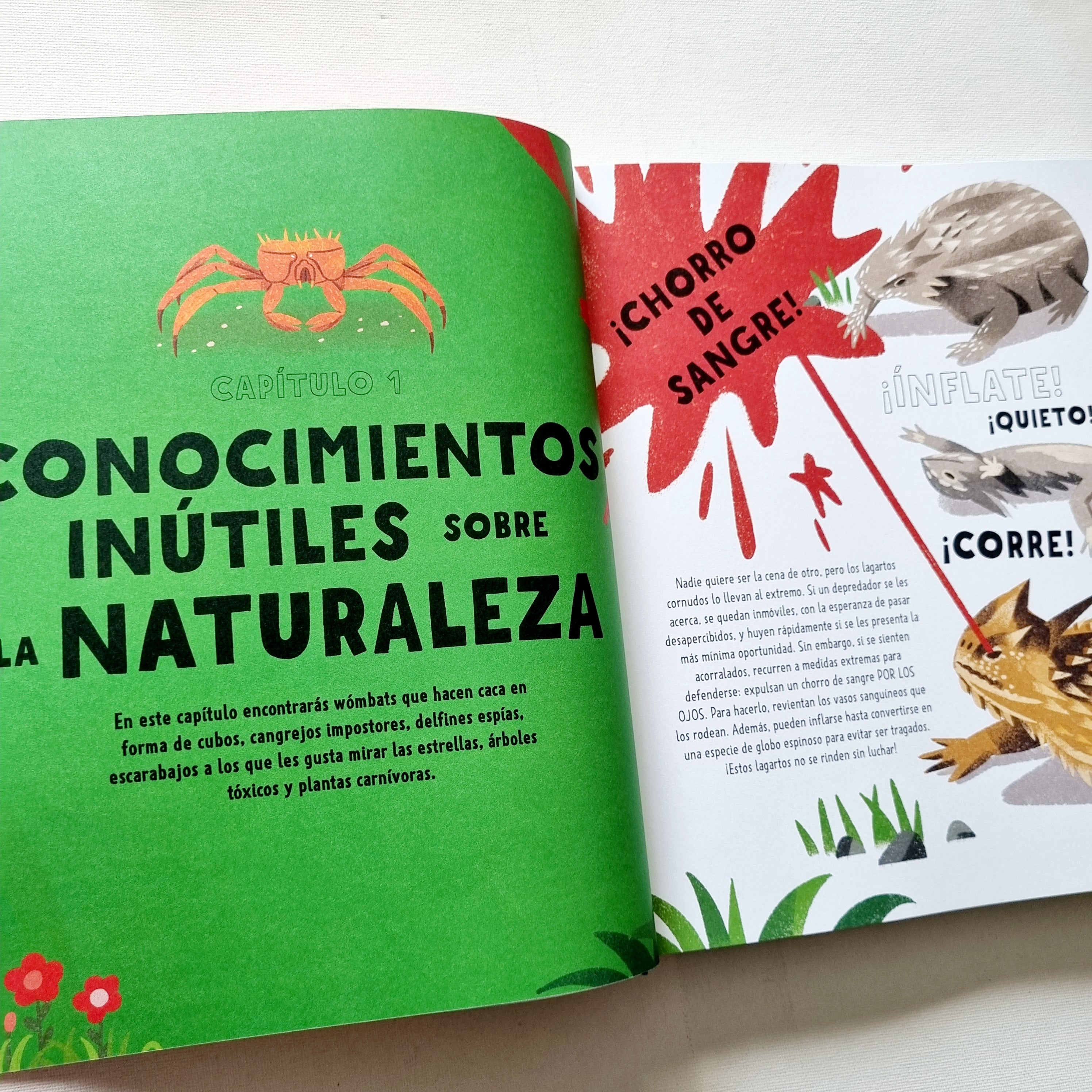 El gran libro de los conocimientos inútiles