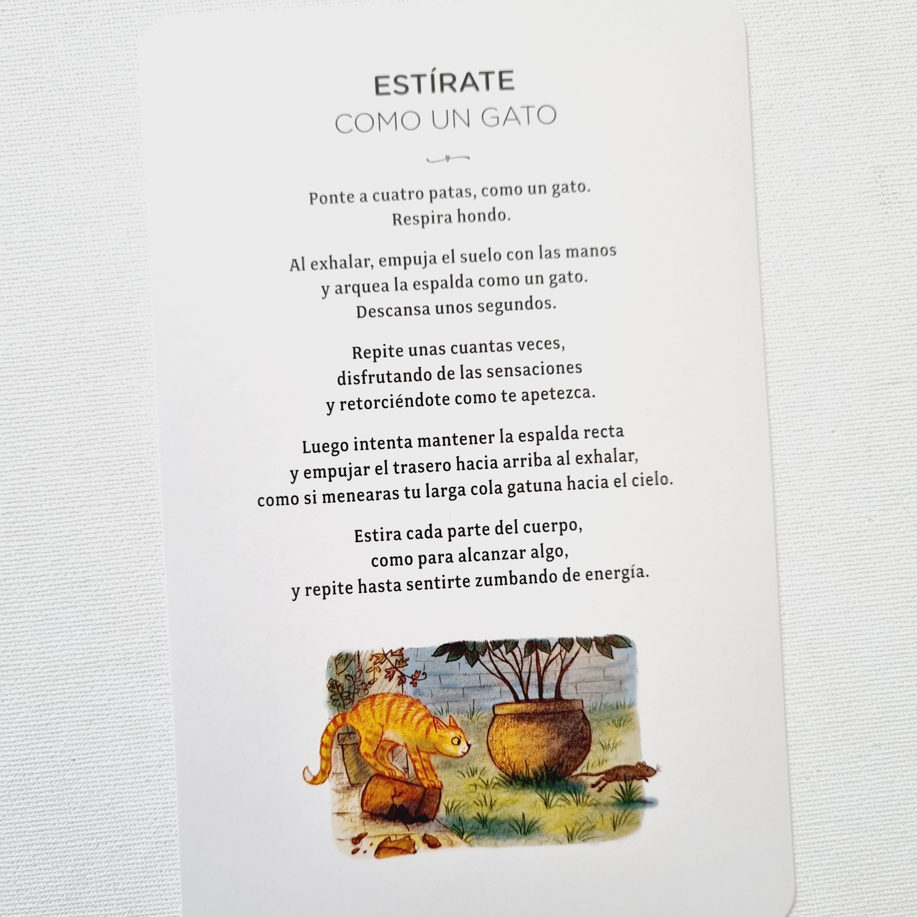 Con calma - Cartas