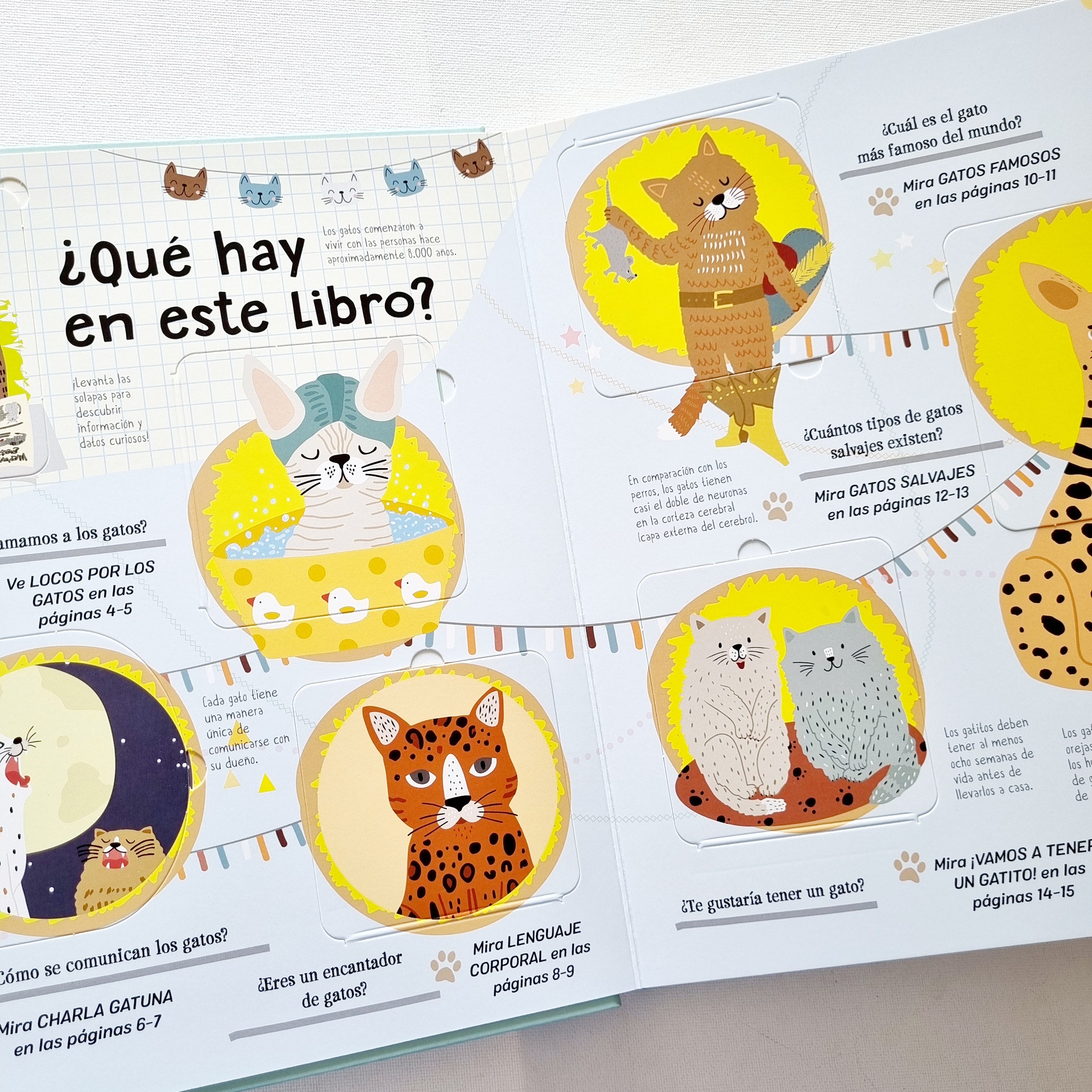 Locos por los gatos