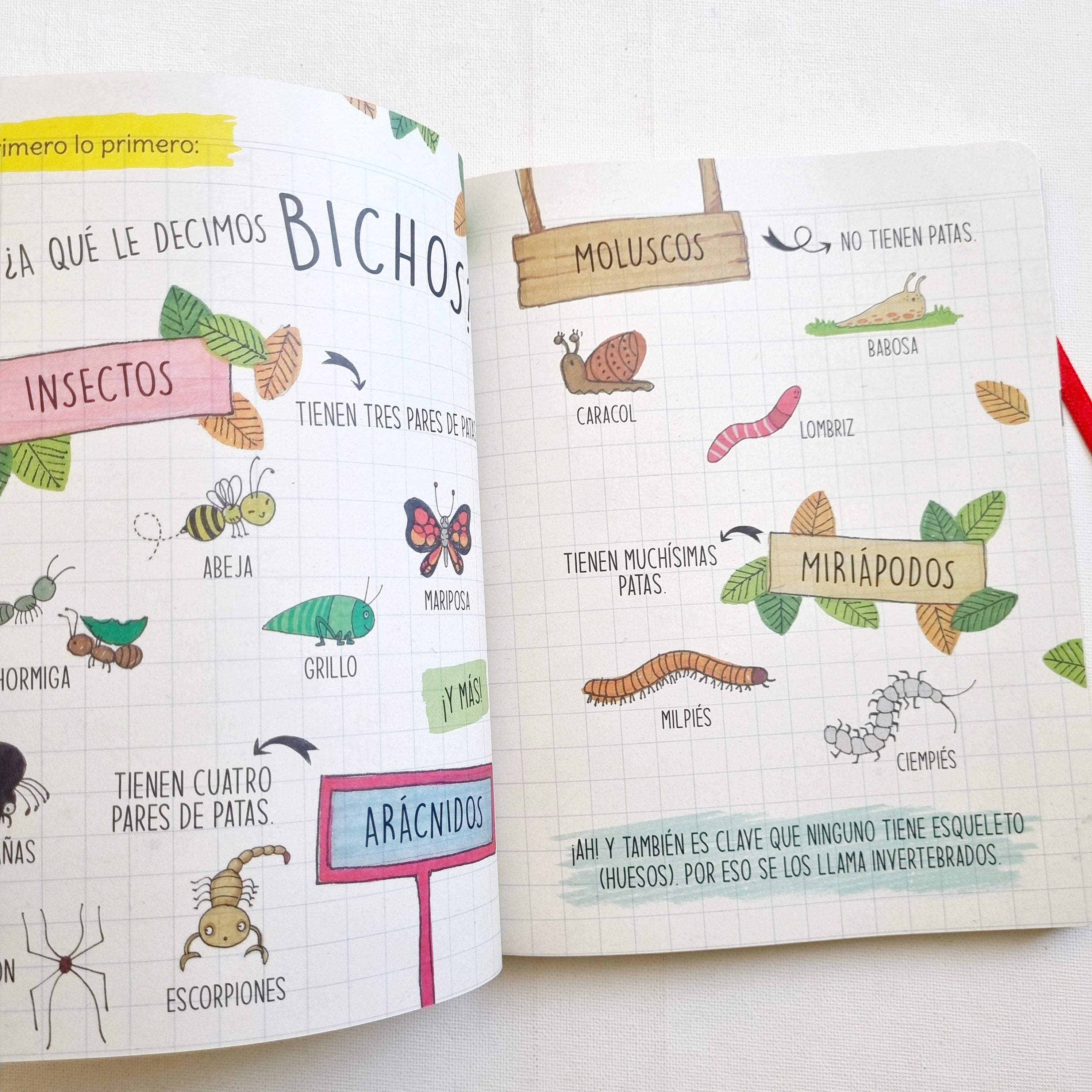 Cómo dibujar bichos