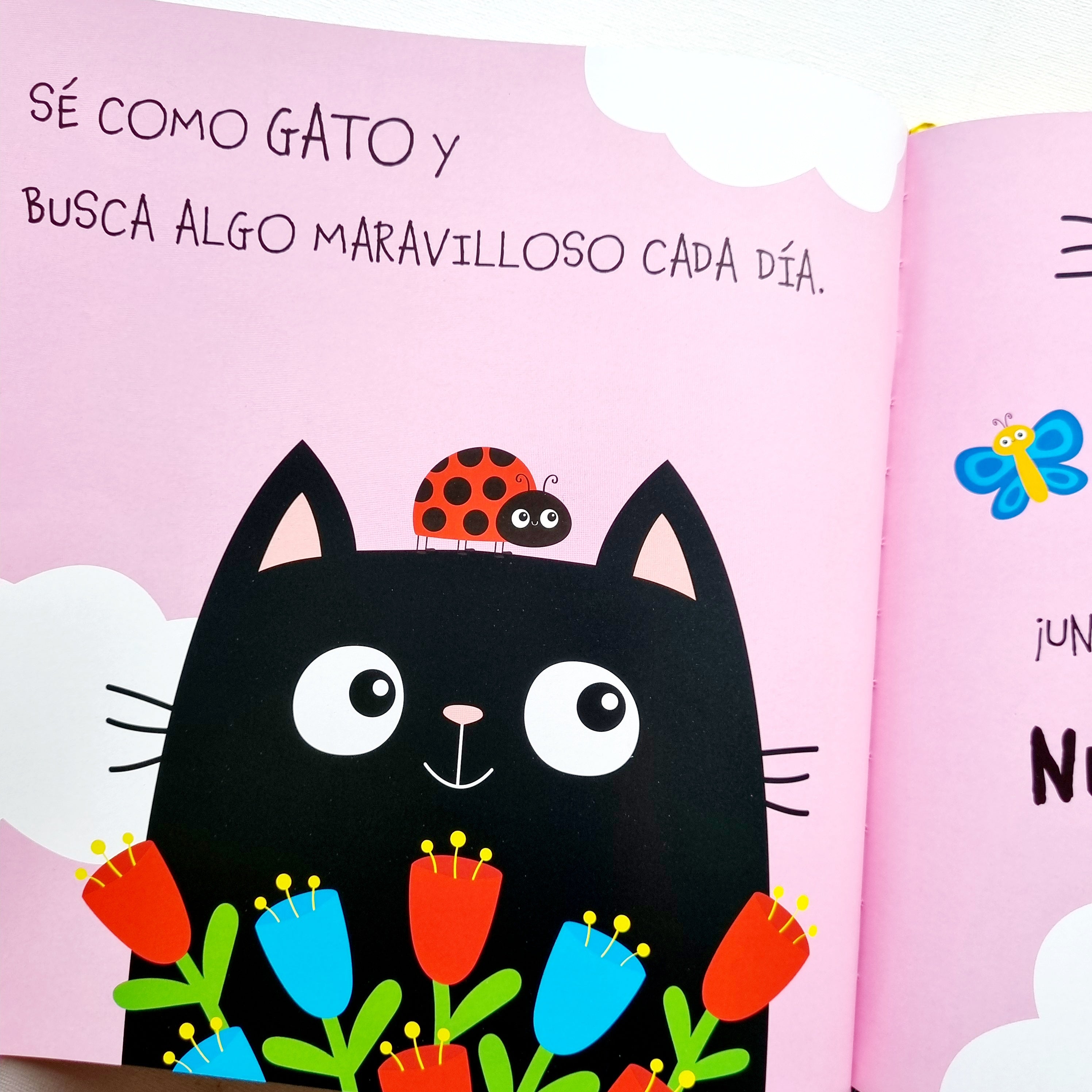 Pequeña guía de gratitud