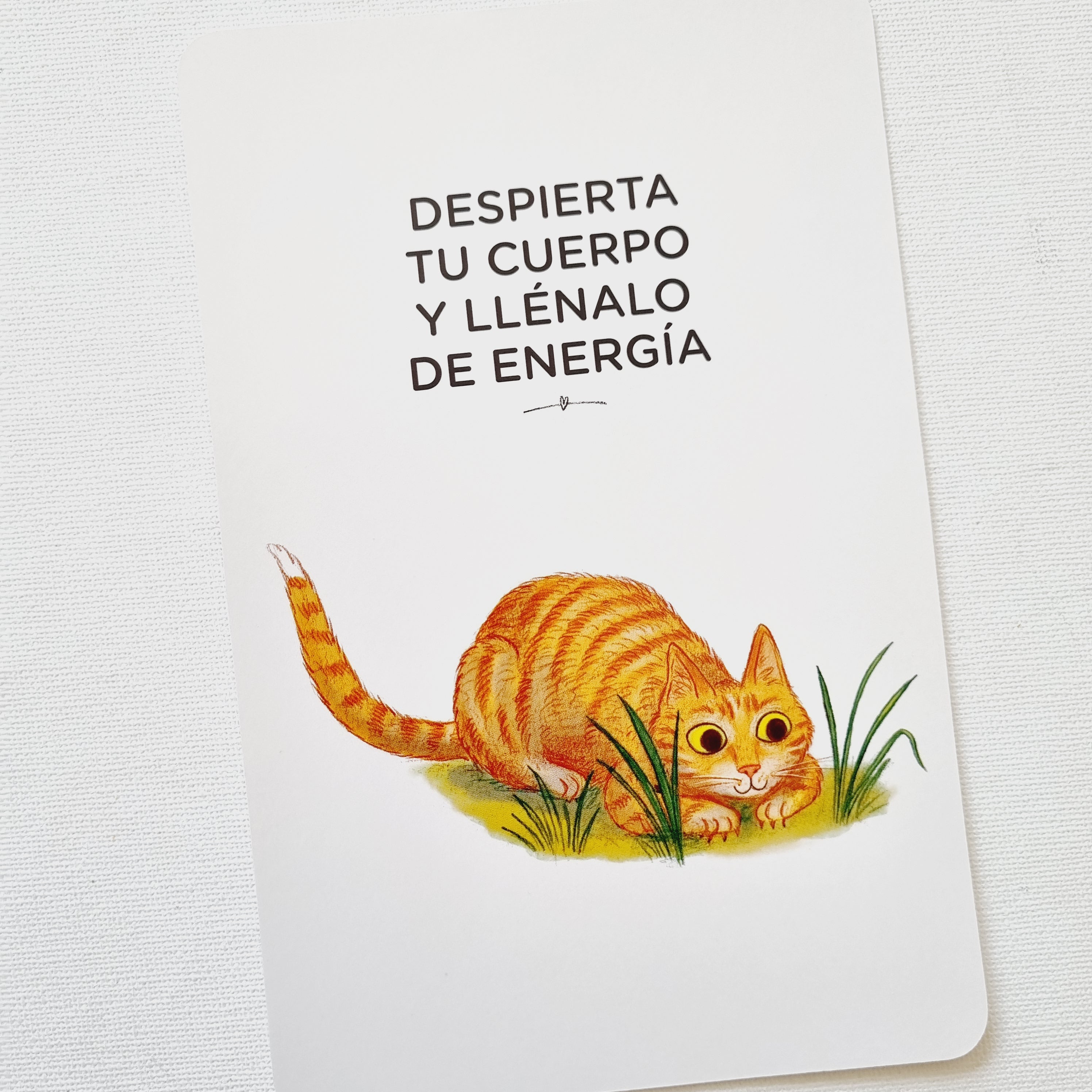 Con calma - Cartas