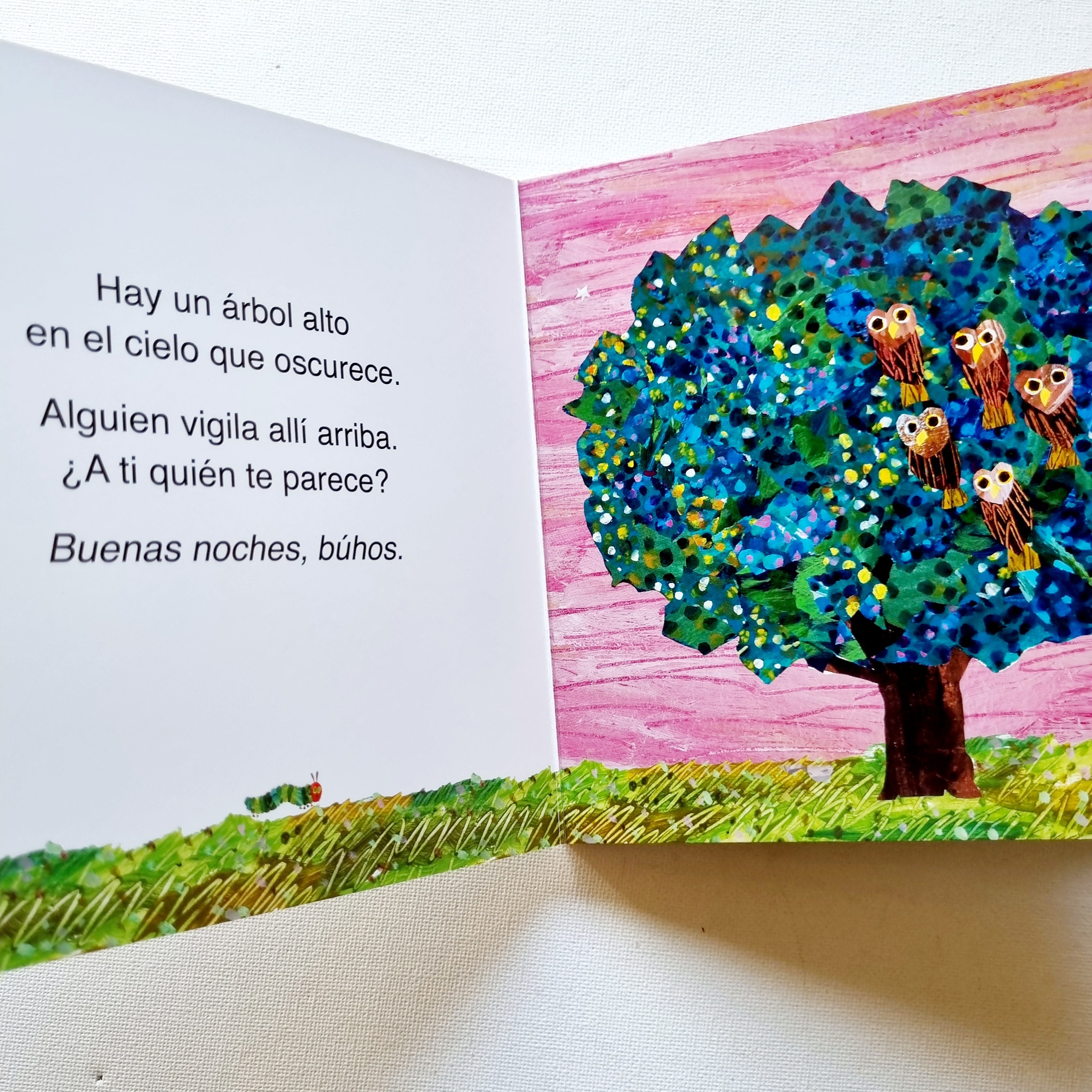 Dulces sueños pequeña oruga glotona - Libro + mantita