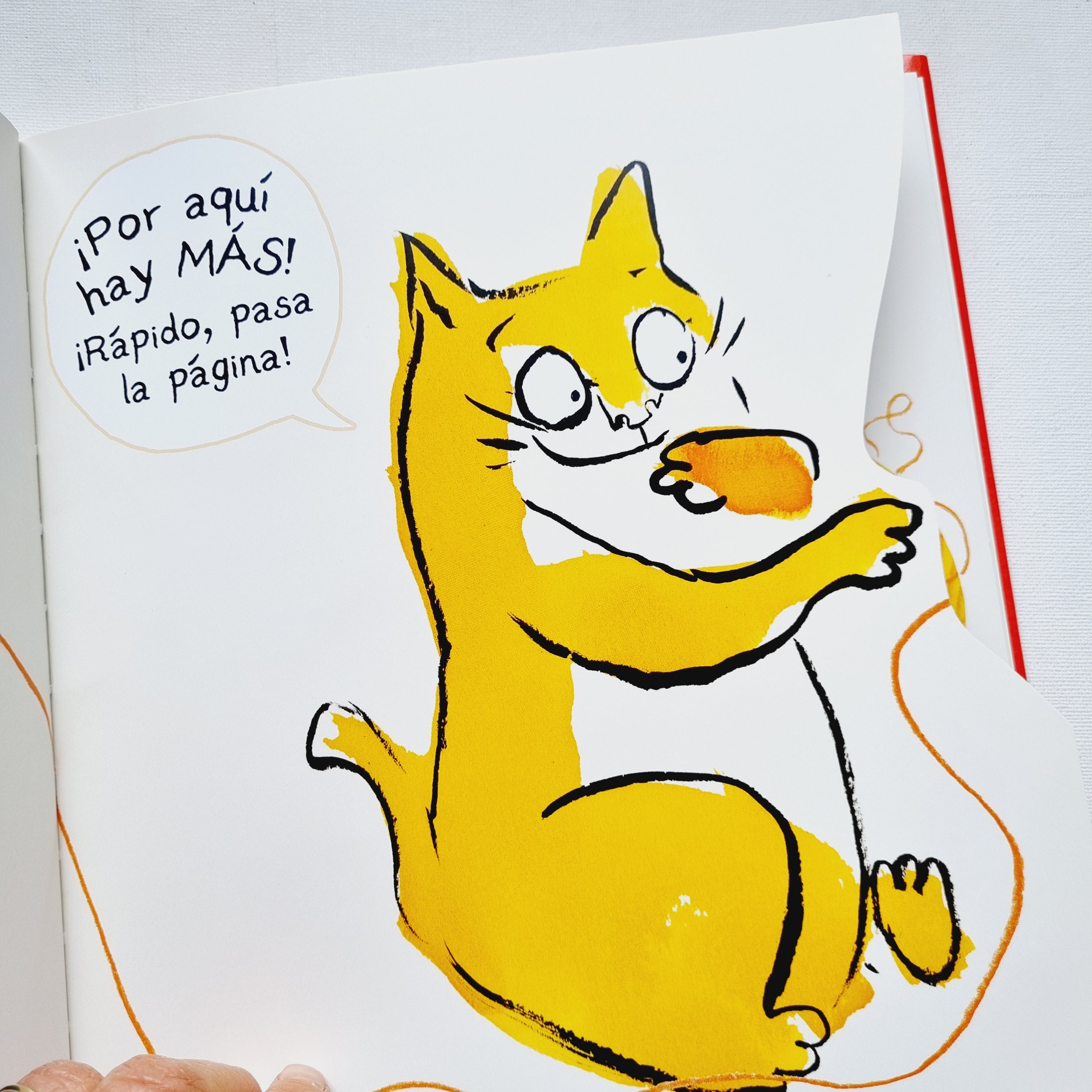 Hay gatos en este libro