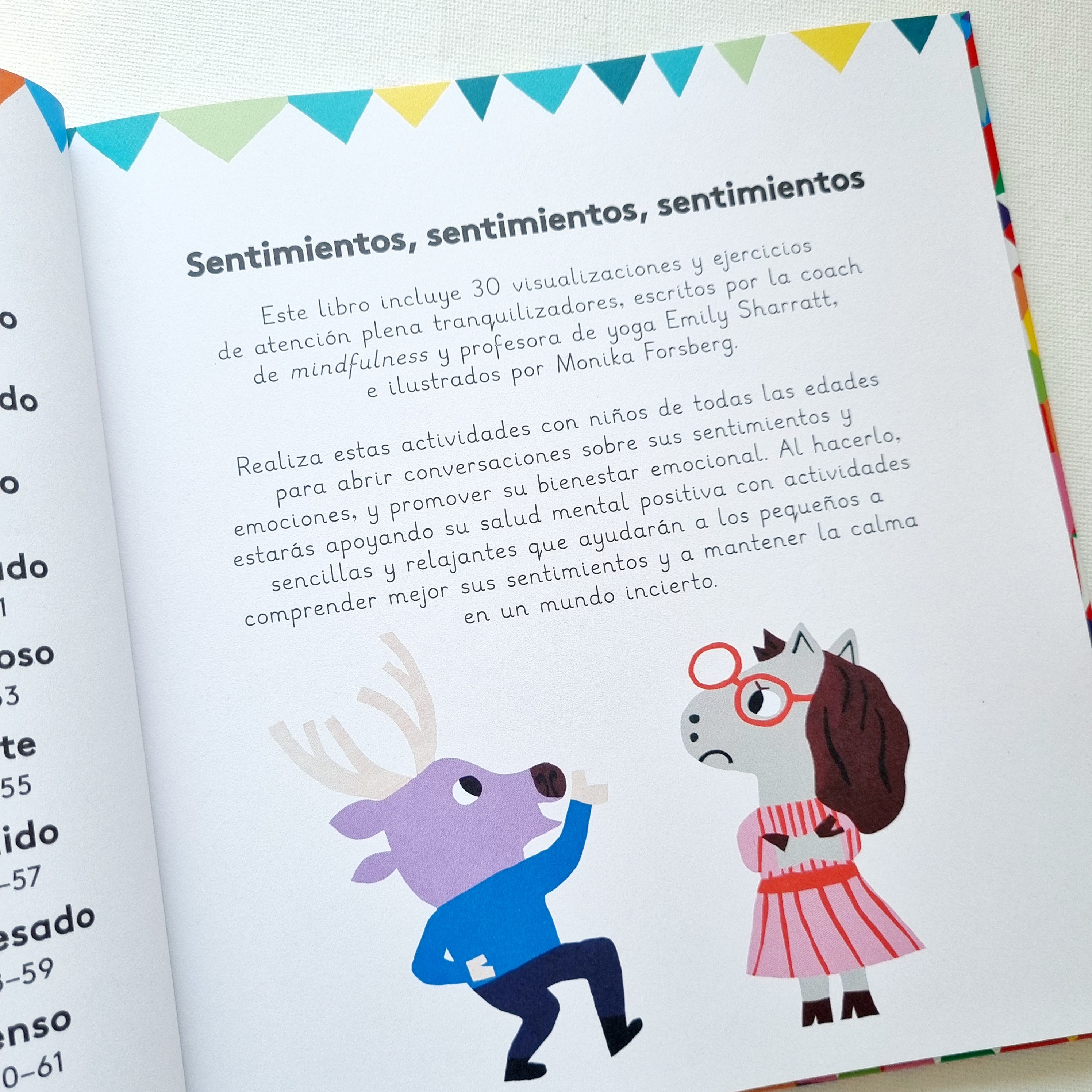 MI primer libro de emociones y sentimientos