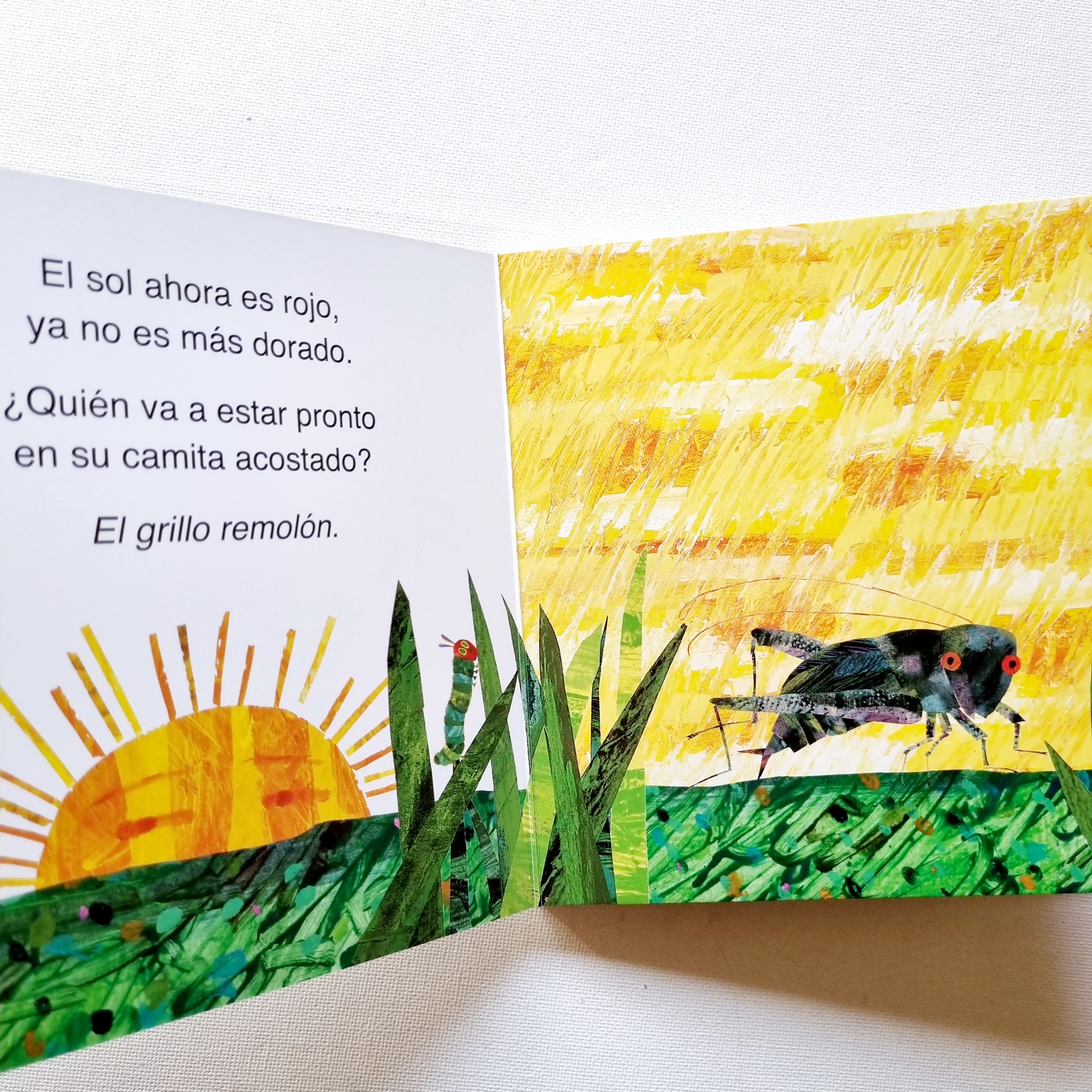 Dulces sueños pequeña oruga glotona - Libro + mantita