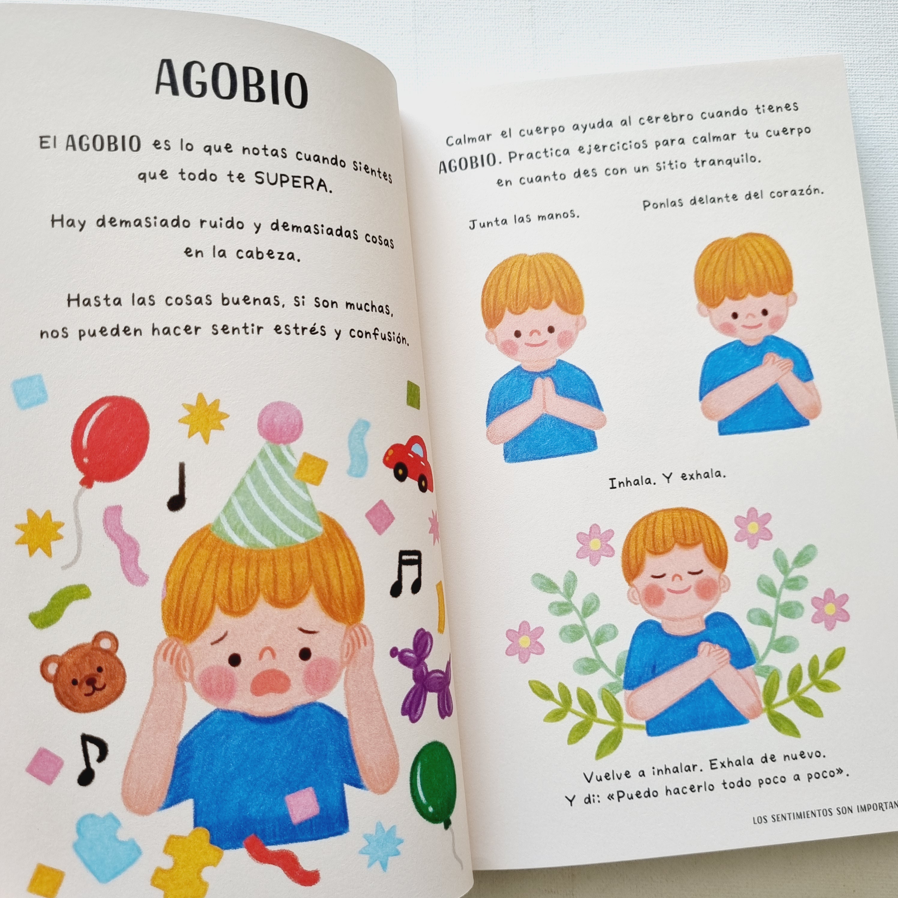 El libro de las palabras importantes