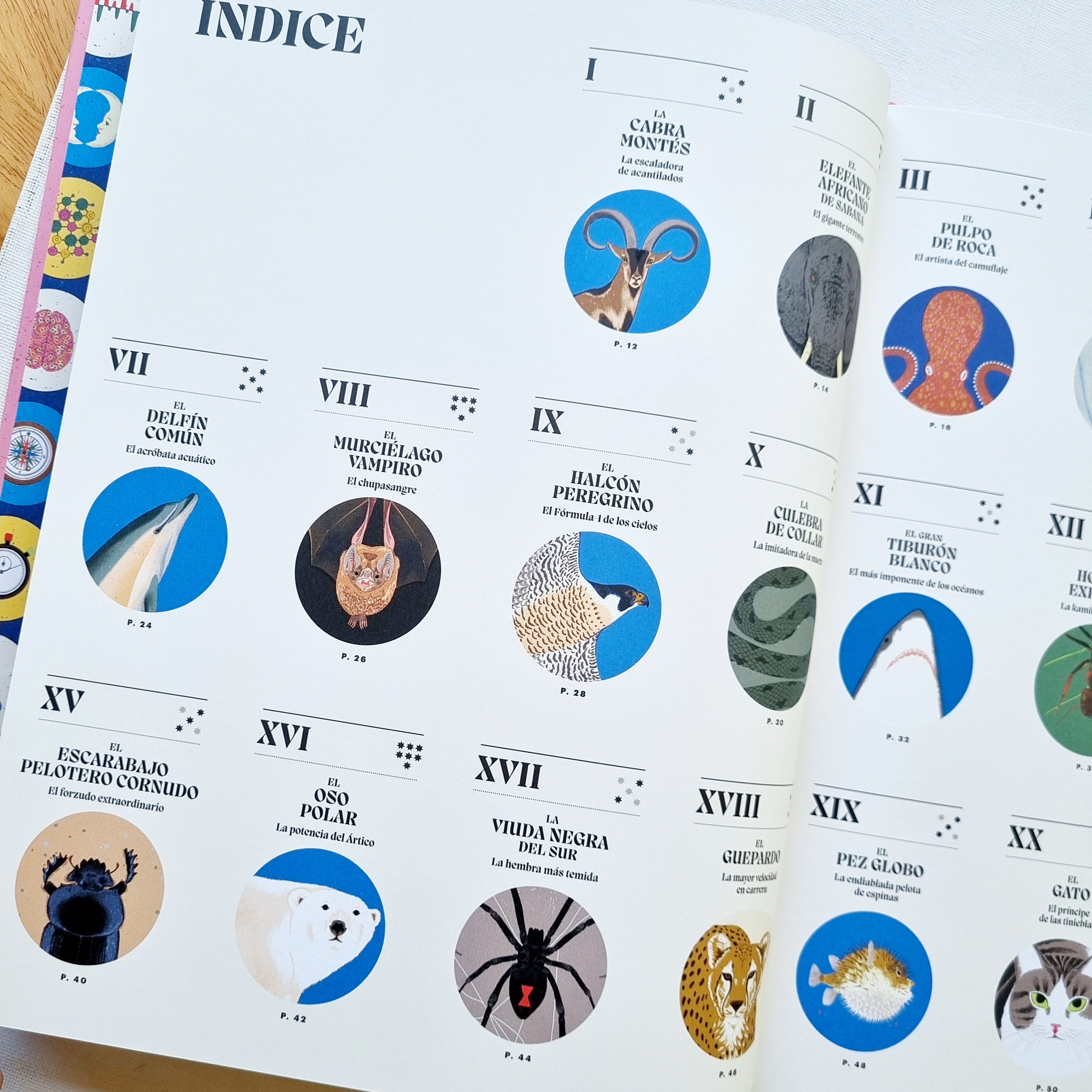 Superpoderes animales