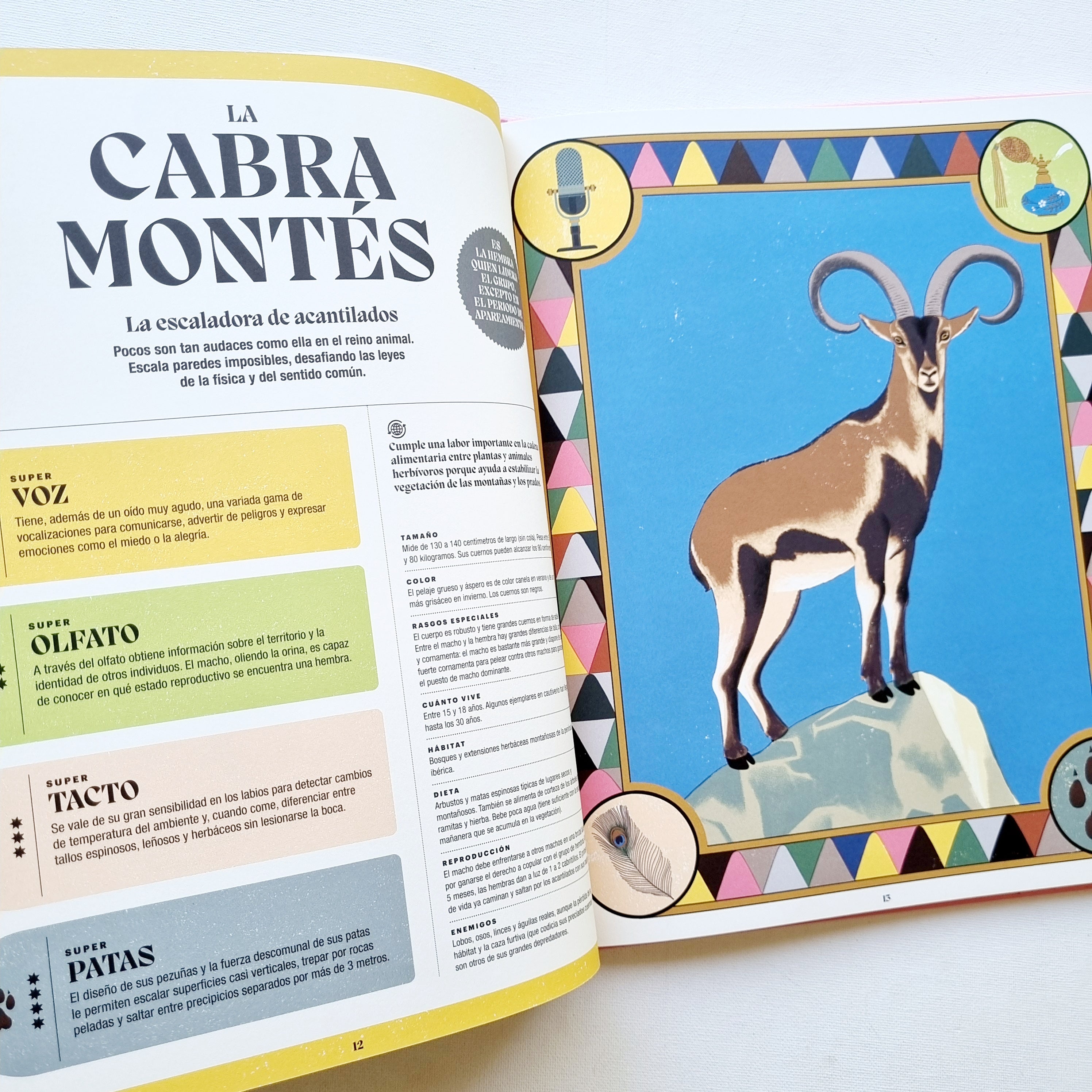 Superpoderes animales