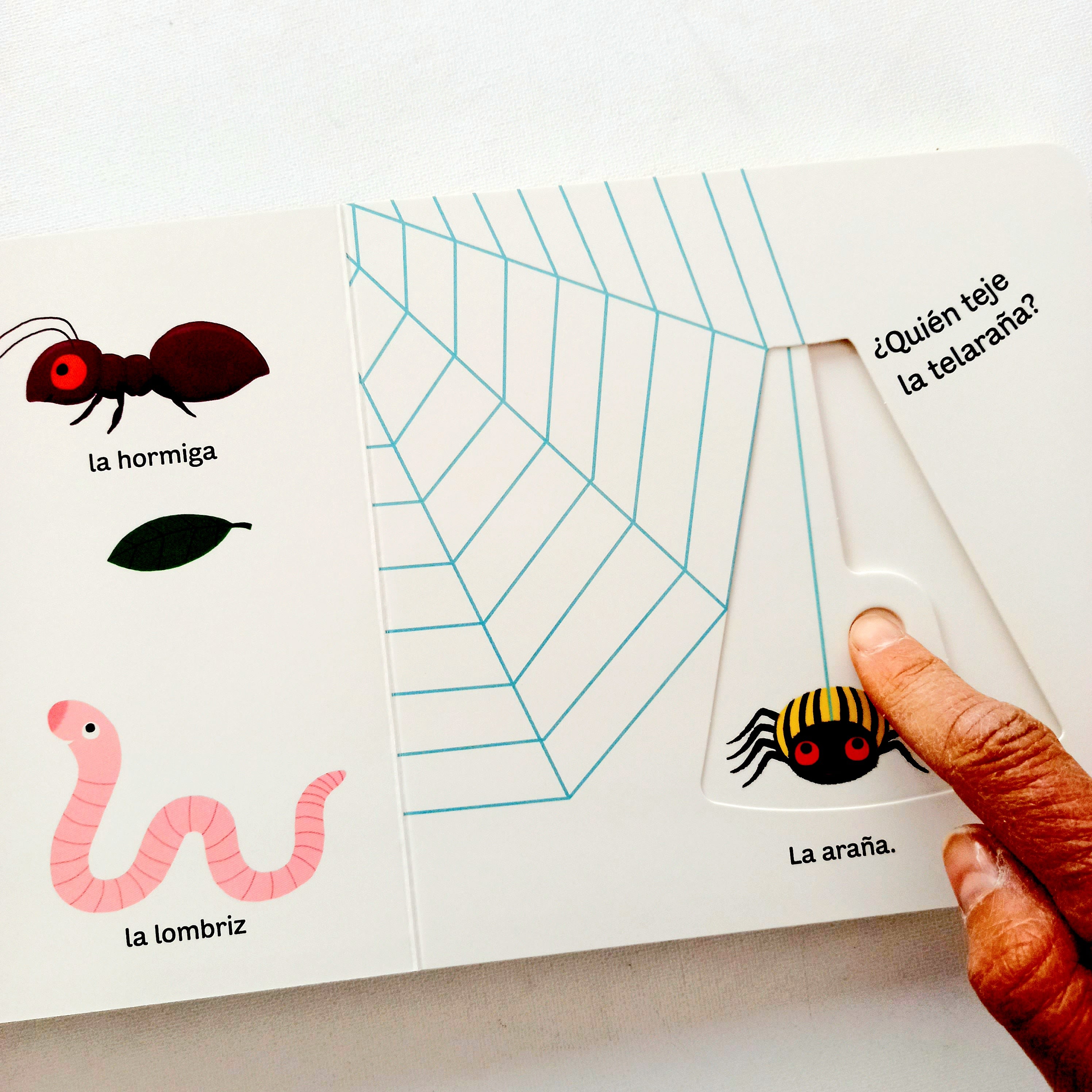 Mi libro de los animales pequeños. Pequeños curiosos