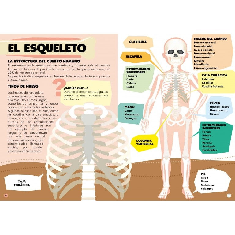 Todo sobre el cuerpo humano - Viaja, conoce y explora. Rompecabeza + libro + figuras de encastre