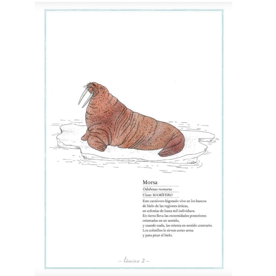Inventario Ilustrado de los mares