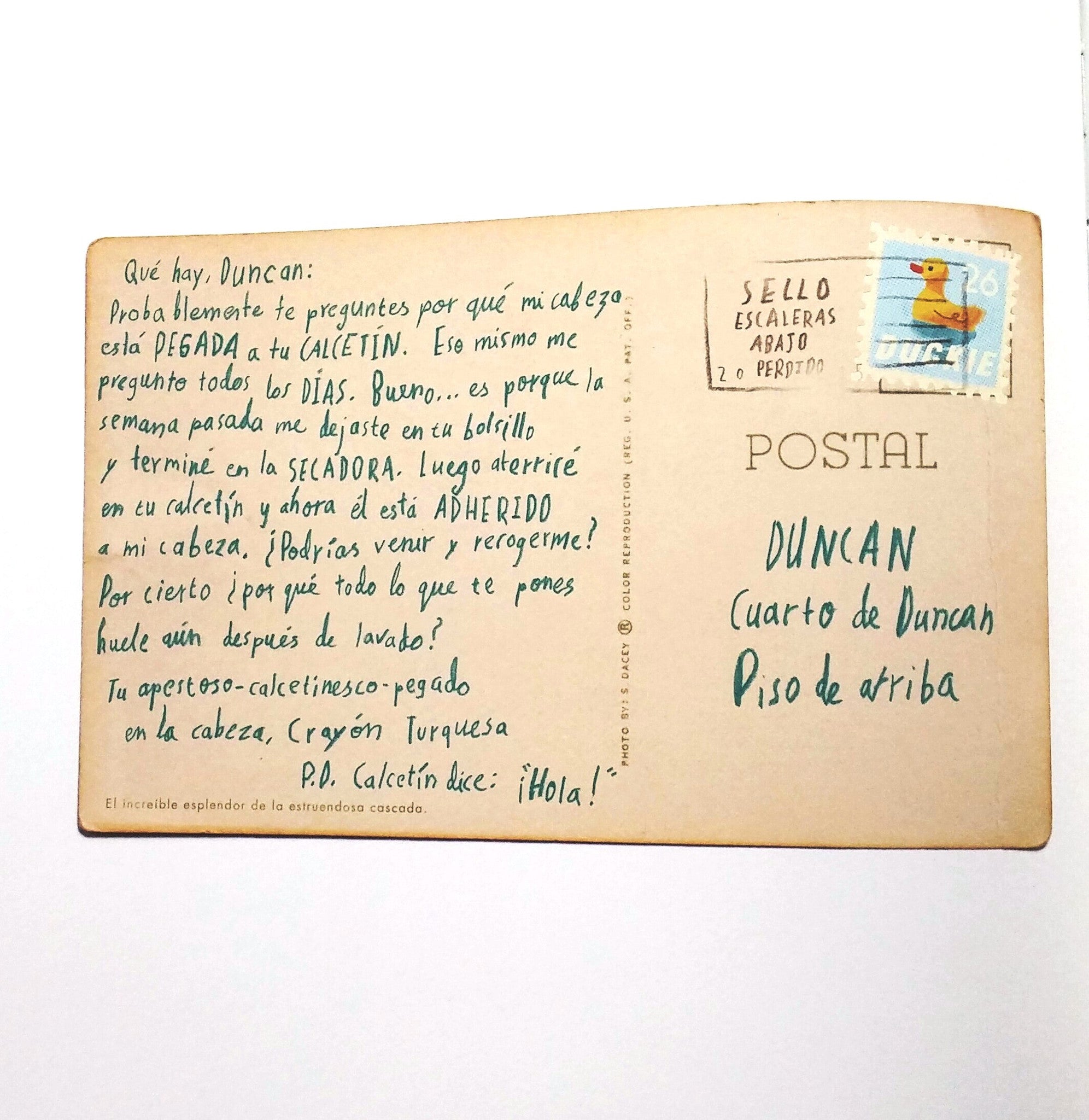 El día que los crayones regresaron a casa