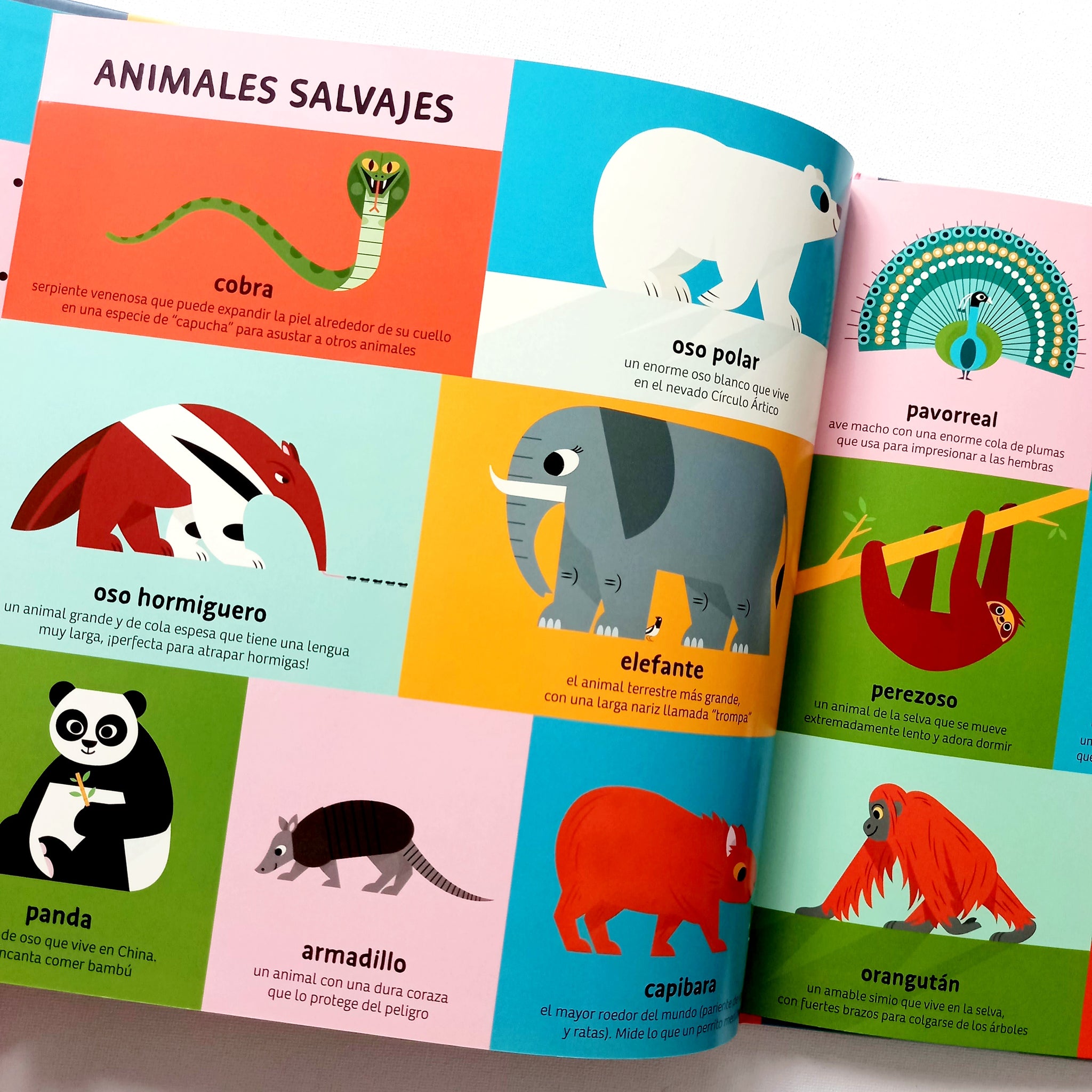 Mi primer libro para colorear con animales 1 año : Páginas para