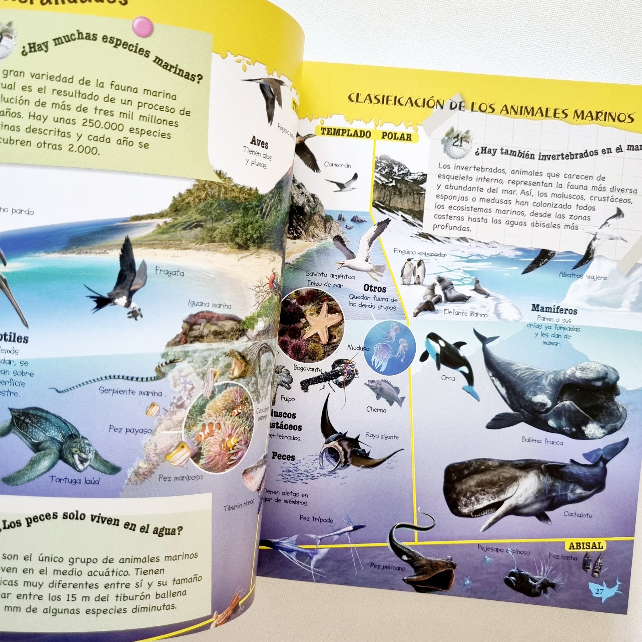 500 preguntas y respuestas sobre los animales marinos