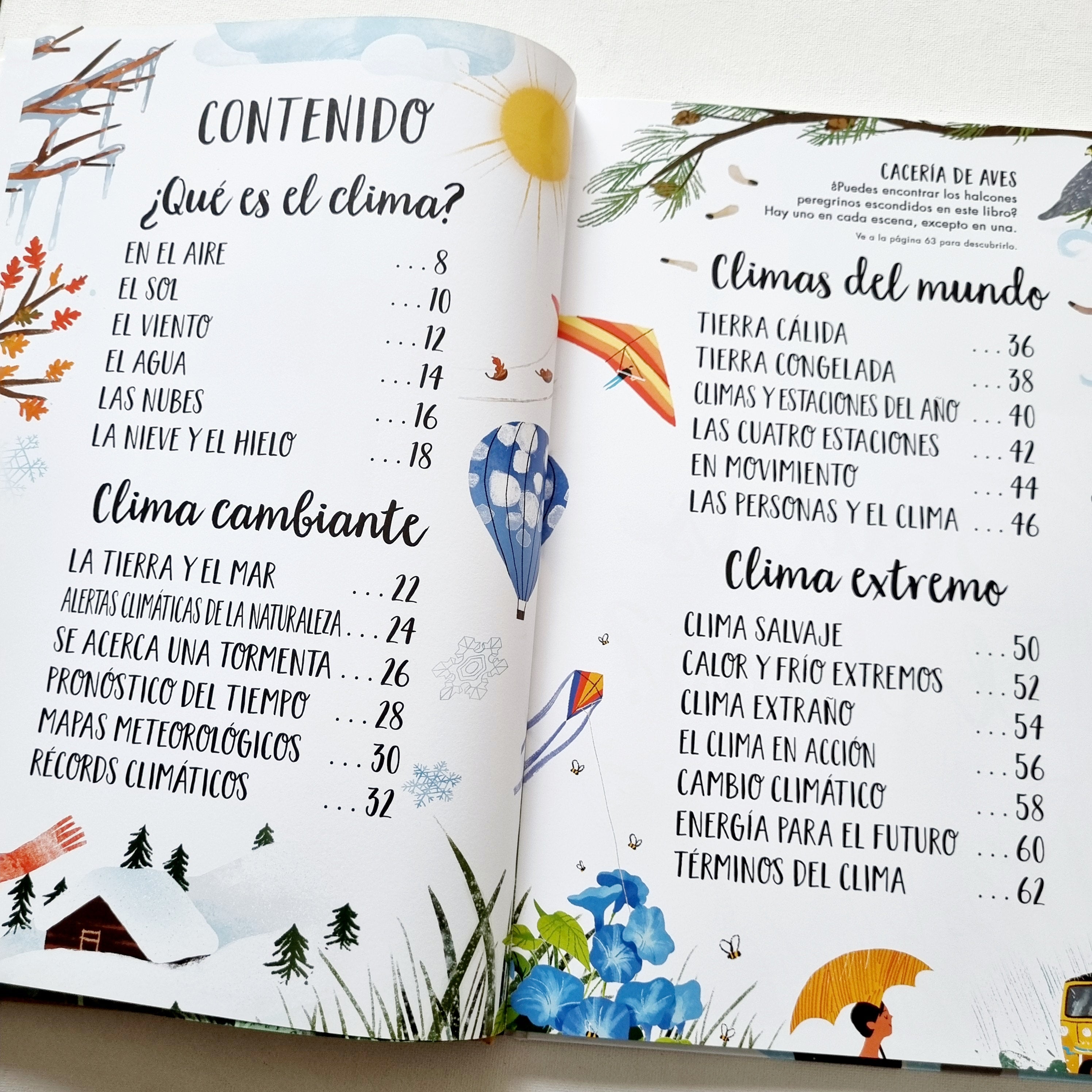 Mi primer libro del clima