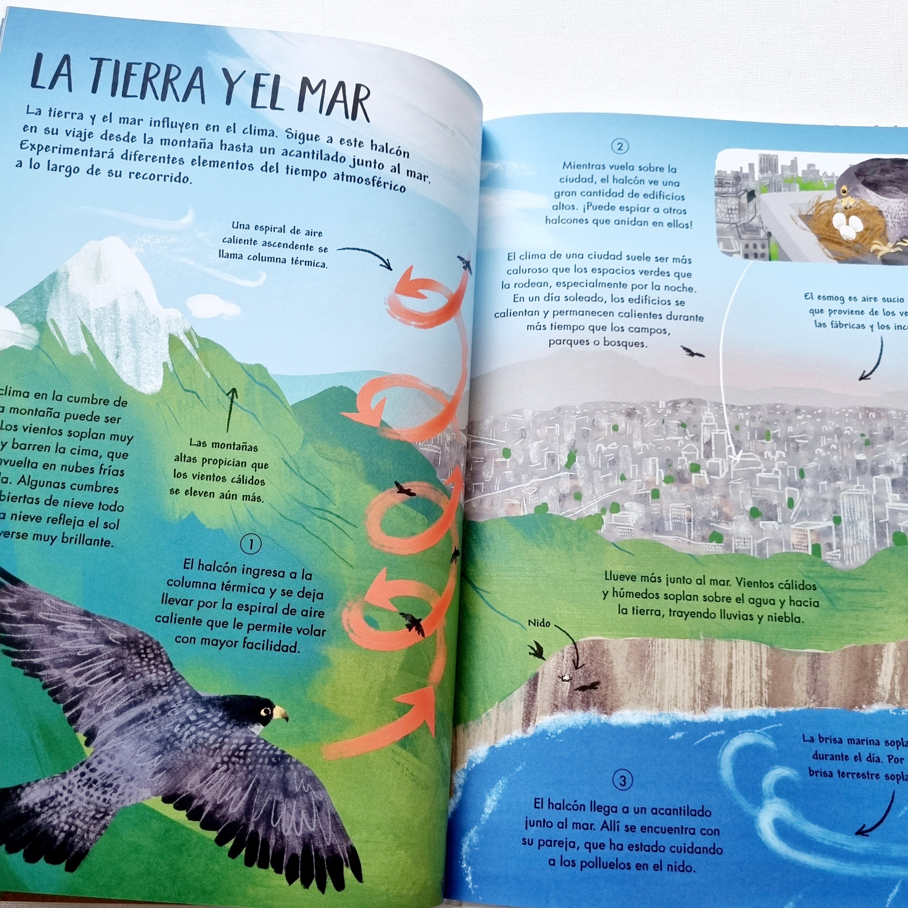 Mi primer libro del clima