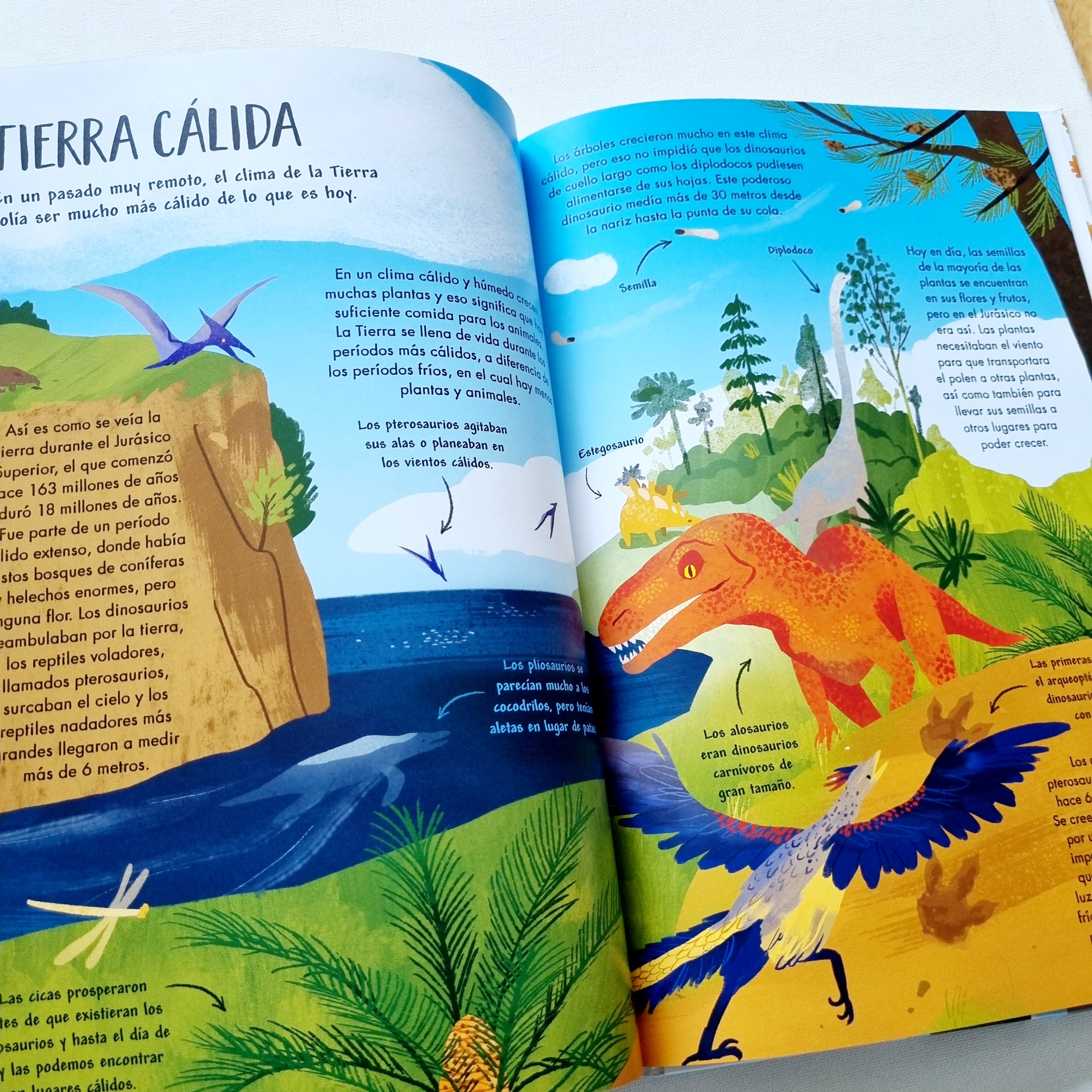 Mi primer libro del clima