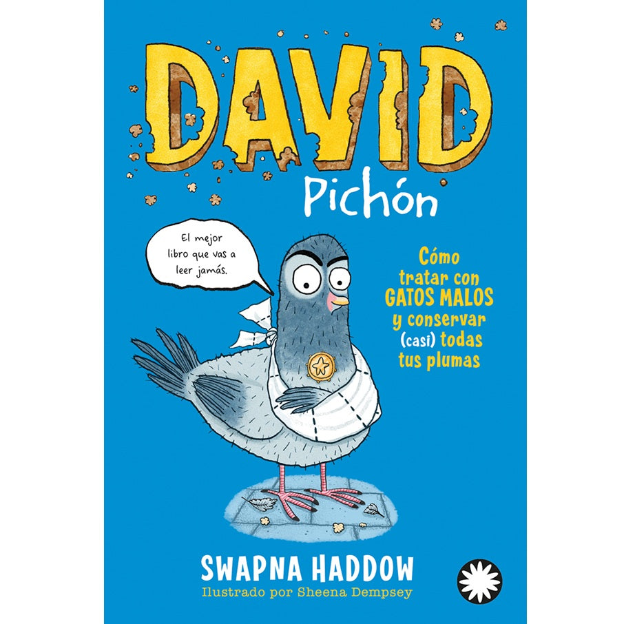 David Pichon 1