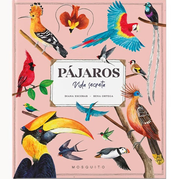 Pájaros. Vida secreta