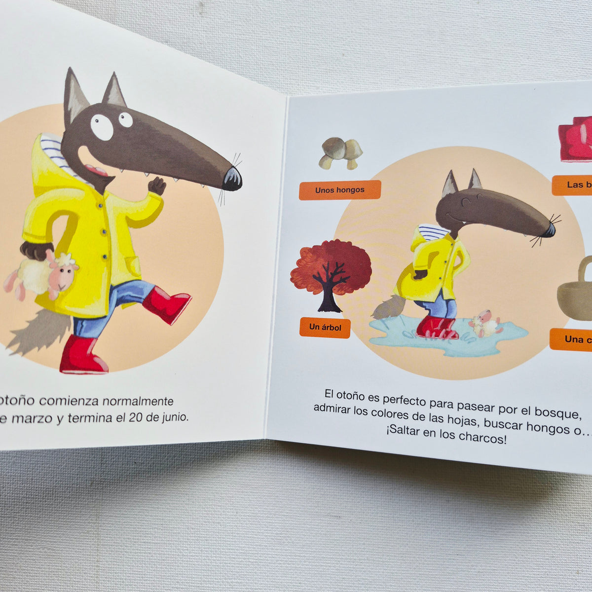 Pequeño Lobo box: Mis 7 libros para aprender