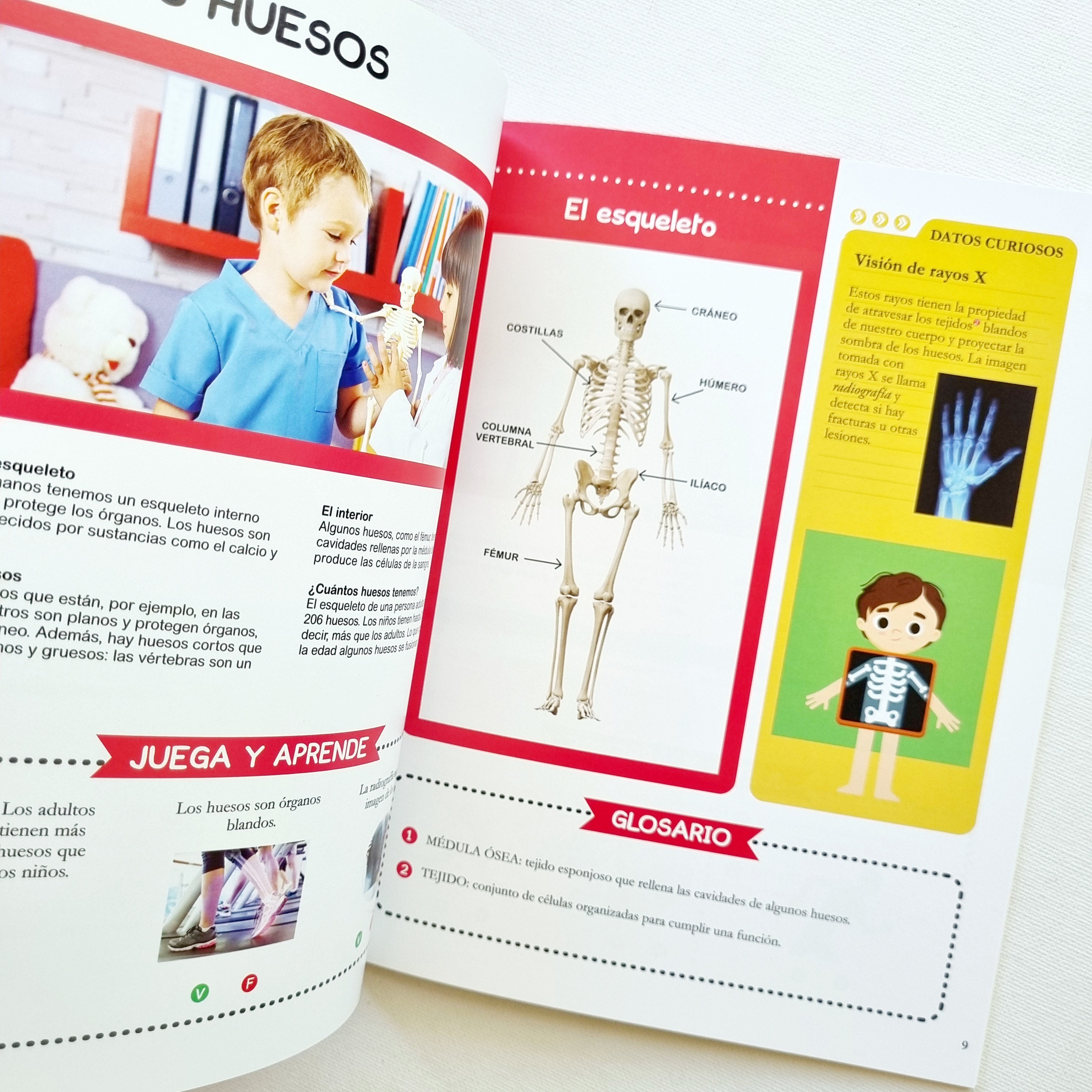 Descubriendo el cuerpo humano. Coleccion enlatados