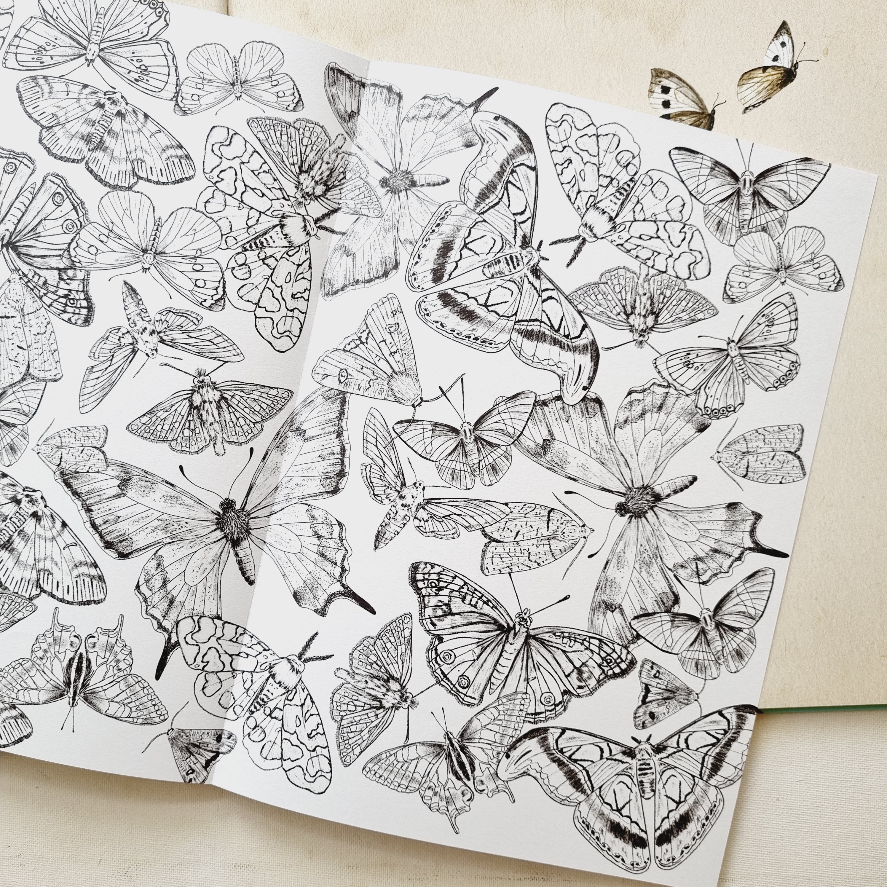 Mariposas. Vida secreta