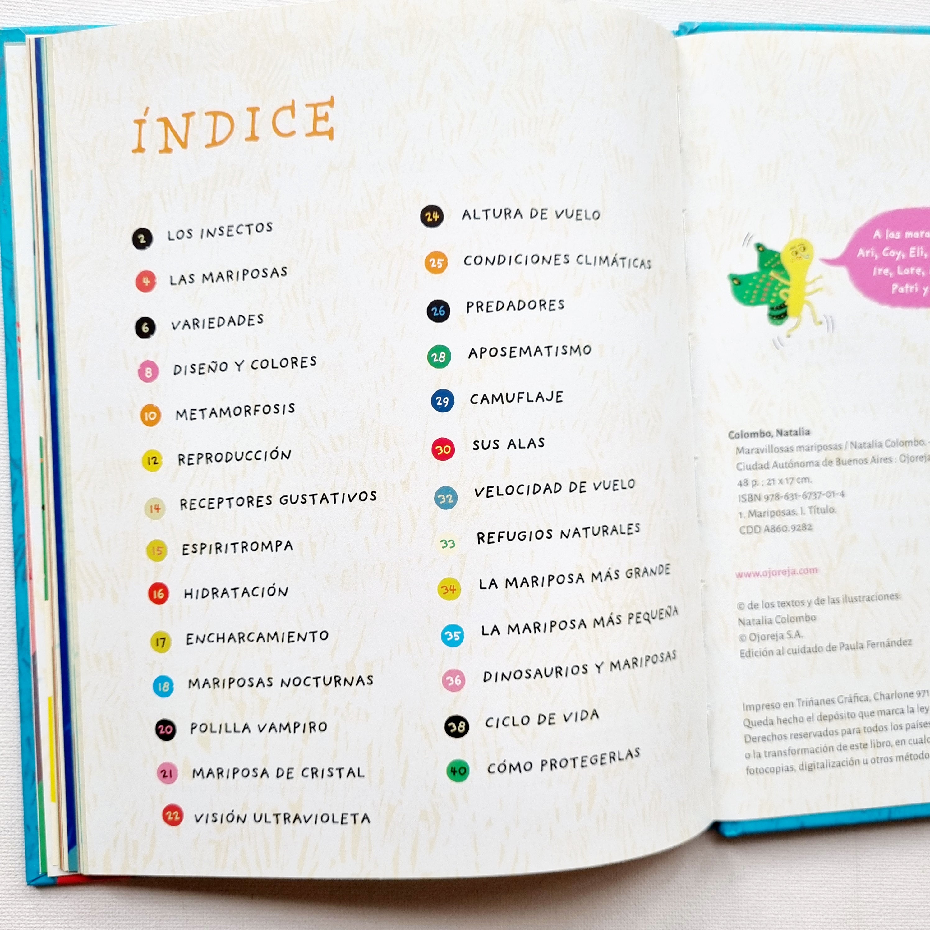 Maravillosas mariposas