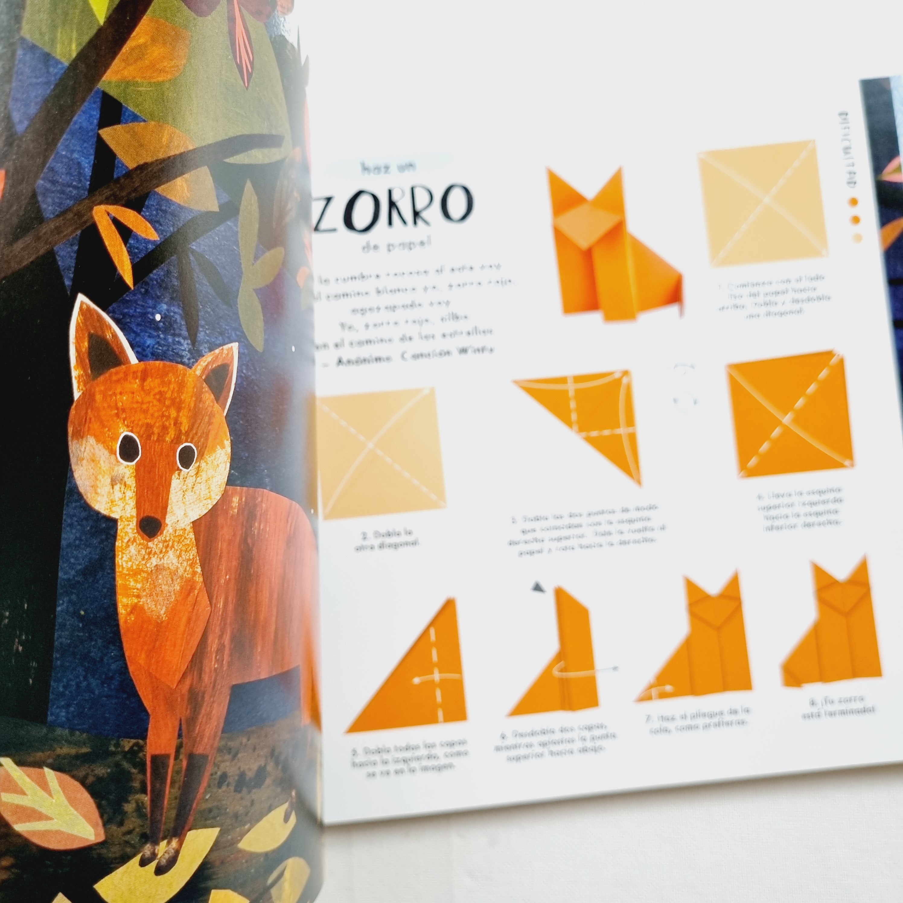 Origami de la naturaleza