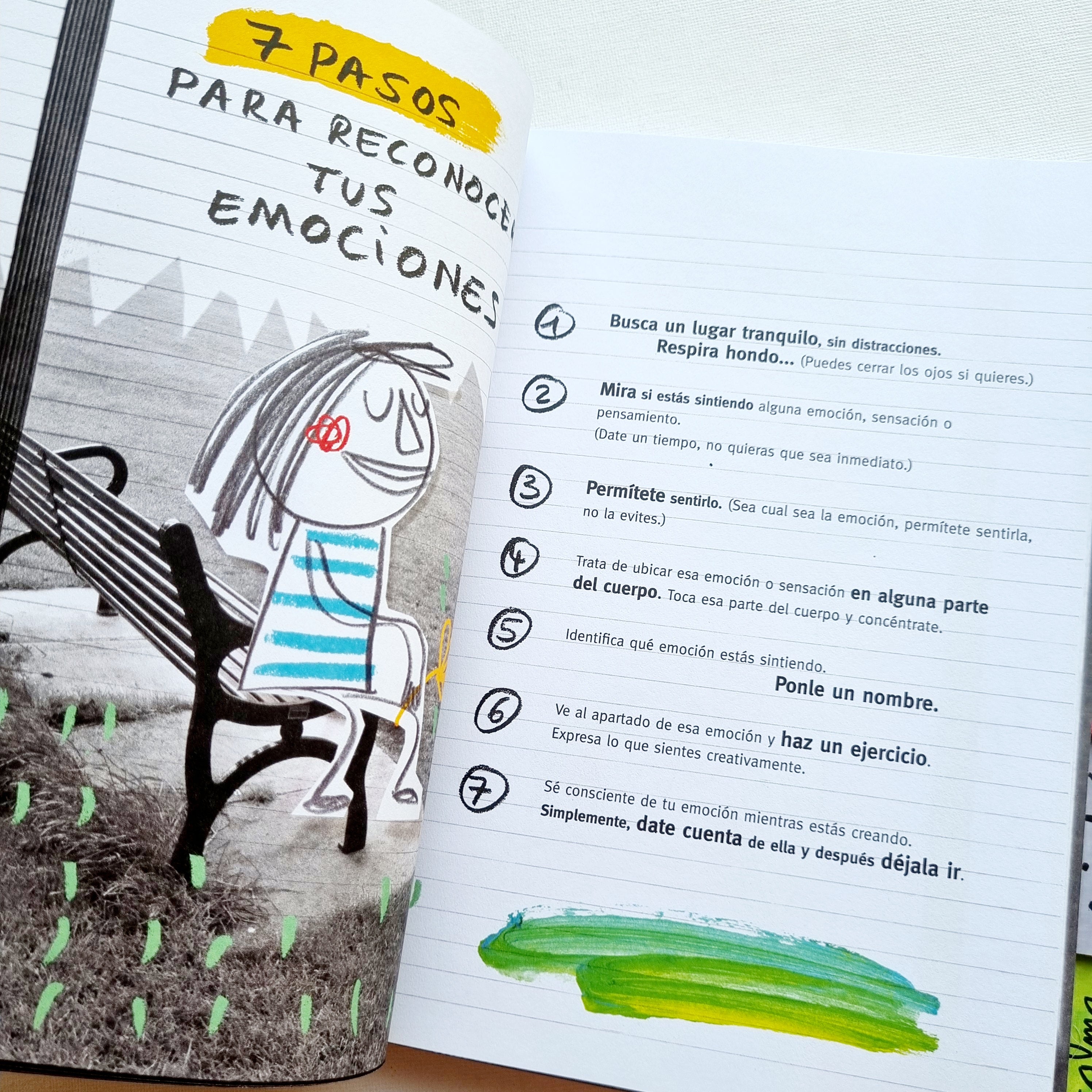 Diario de las emociones ( Edición con solapas)