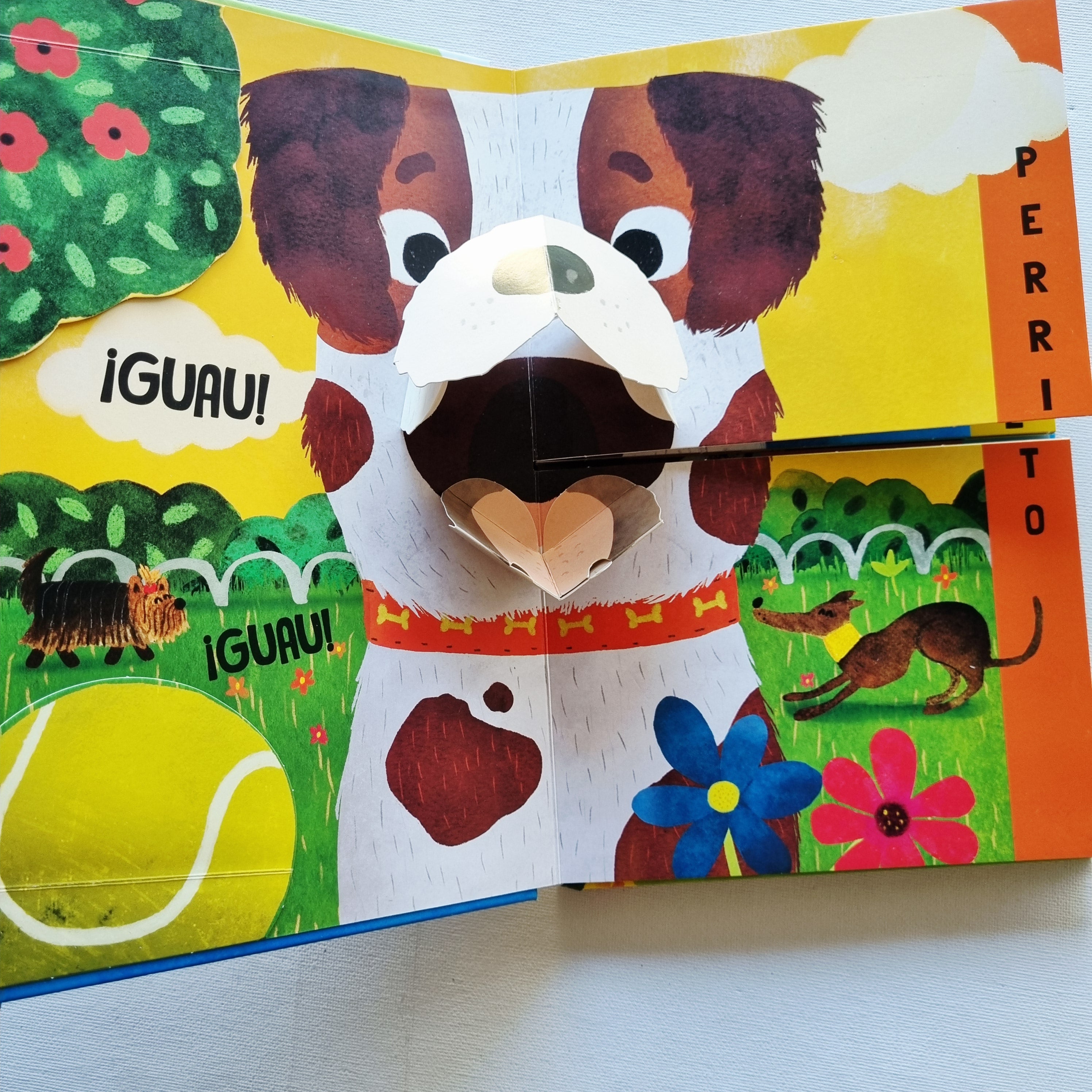 Mascotas . Chis Chas ¡Chomp!
