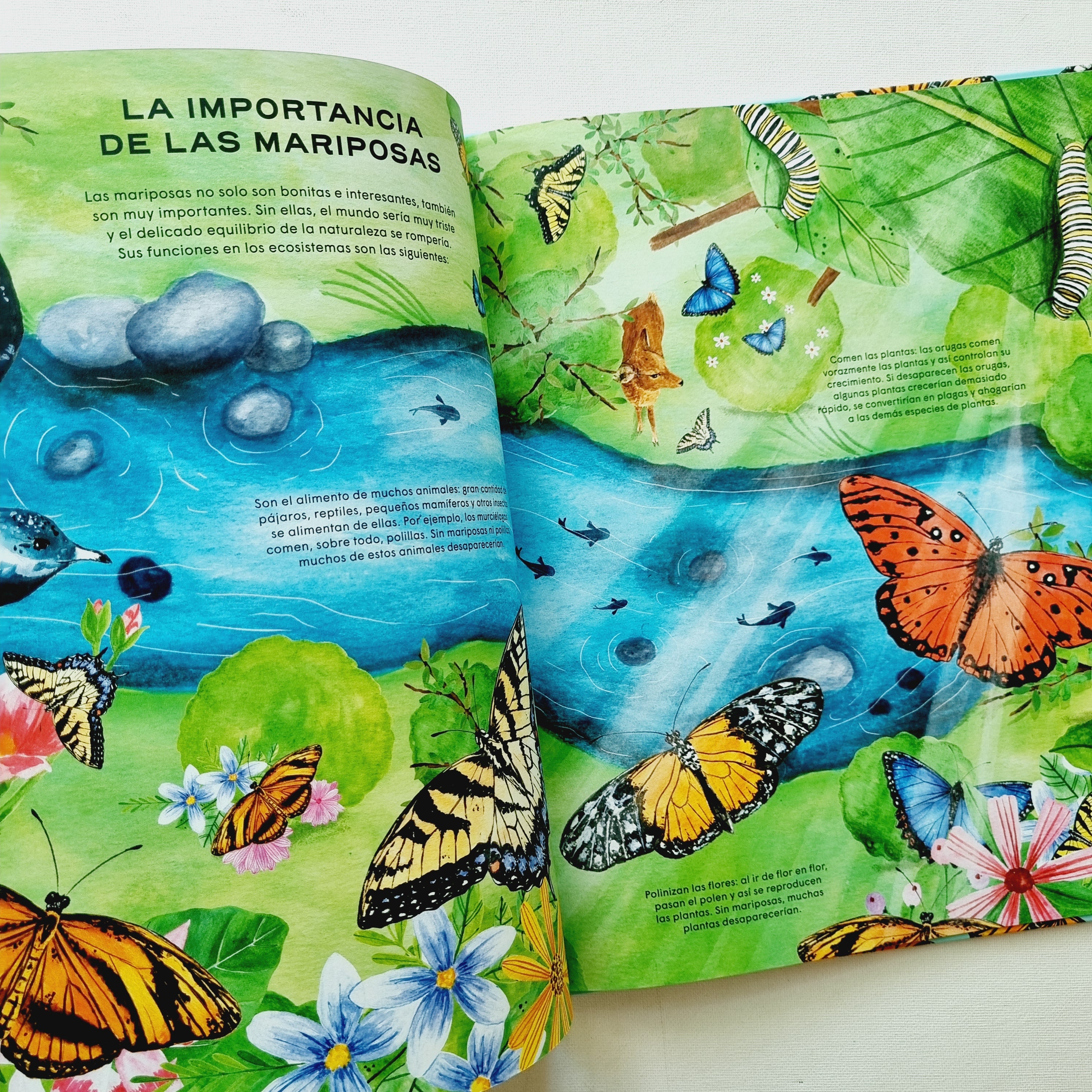 Mariposas. Vida secreta