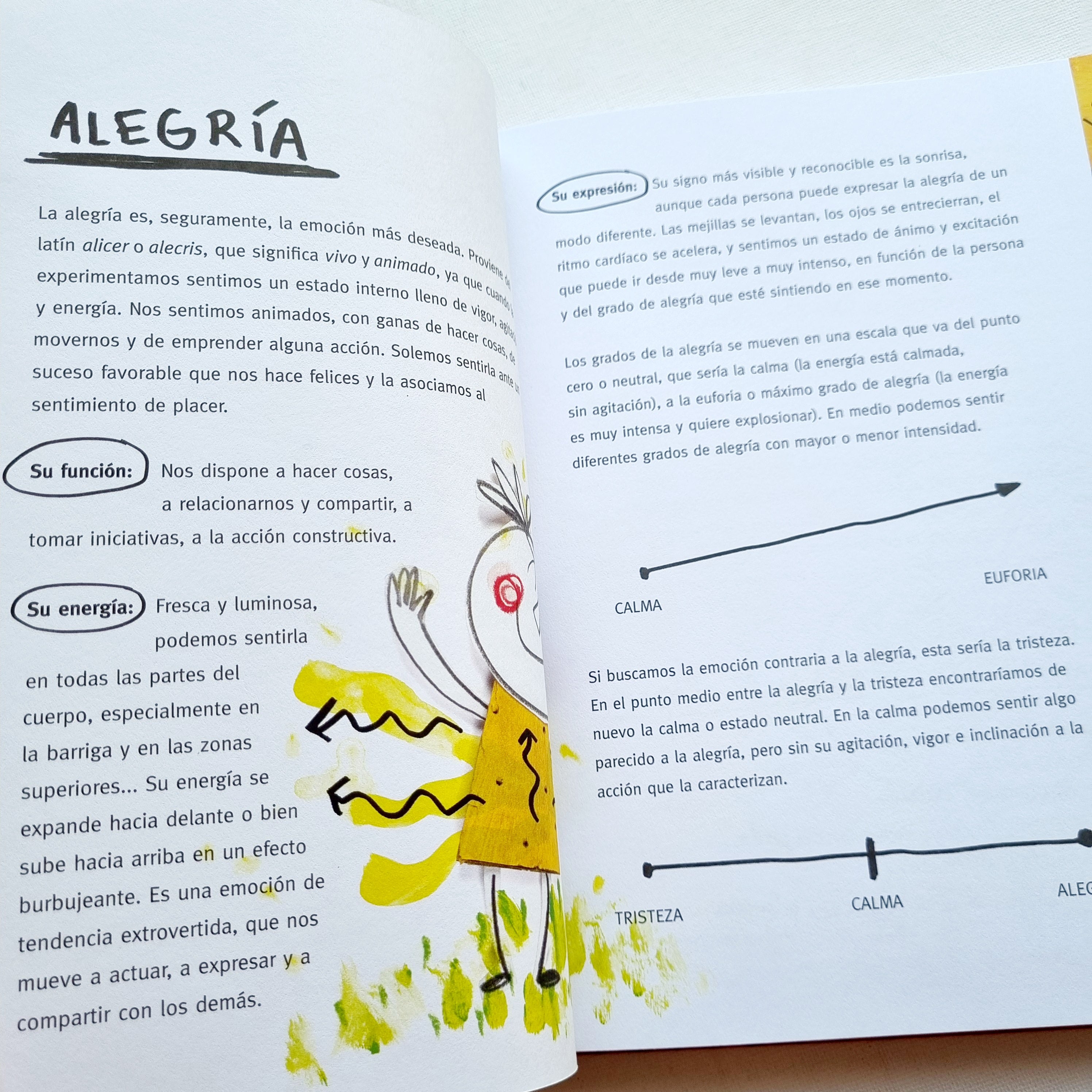 Diario de las emociones ( Edición con solapas)