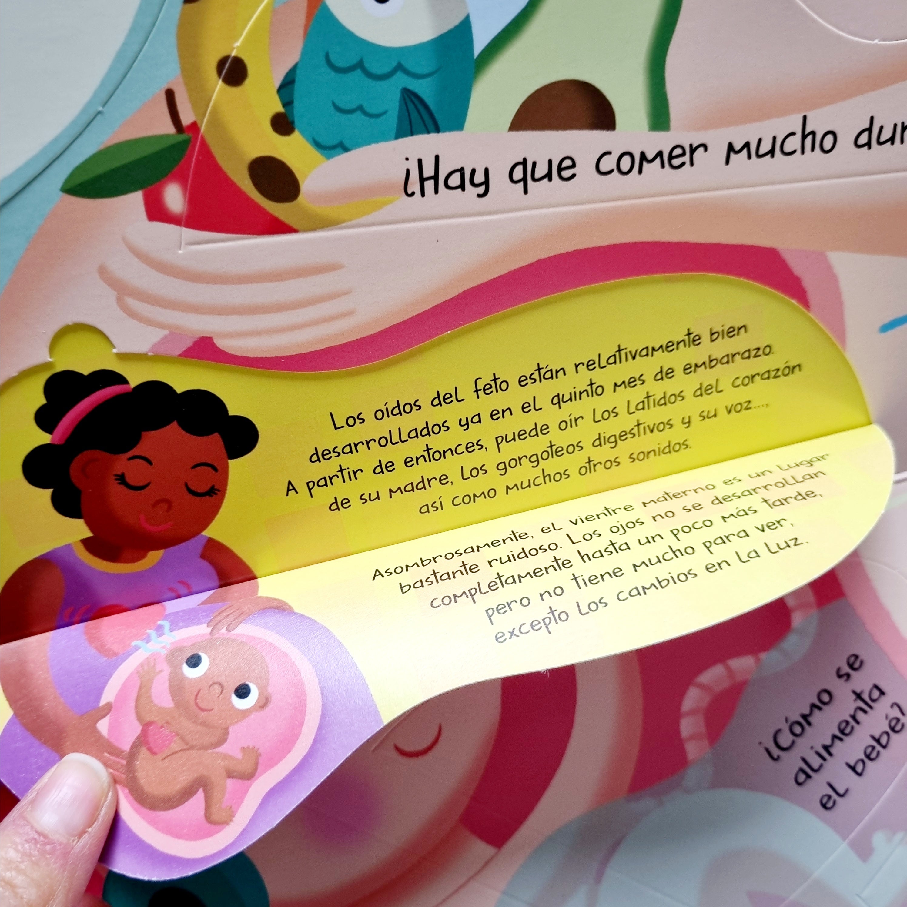 De dónde vienen los bebés. Mi gran libro de respuestas