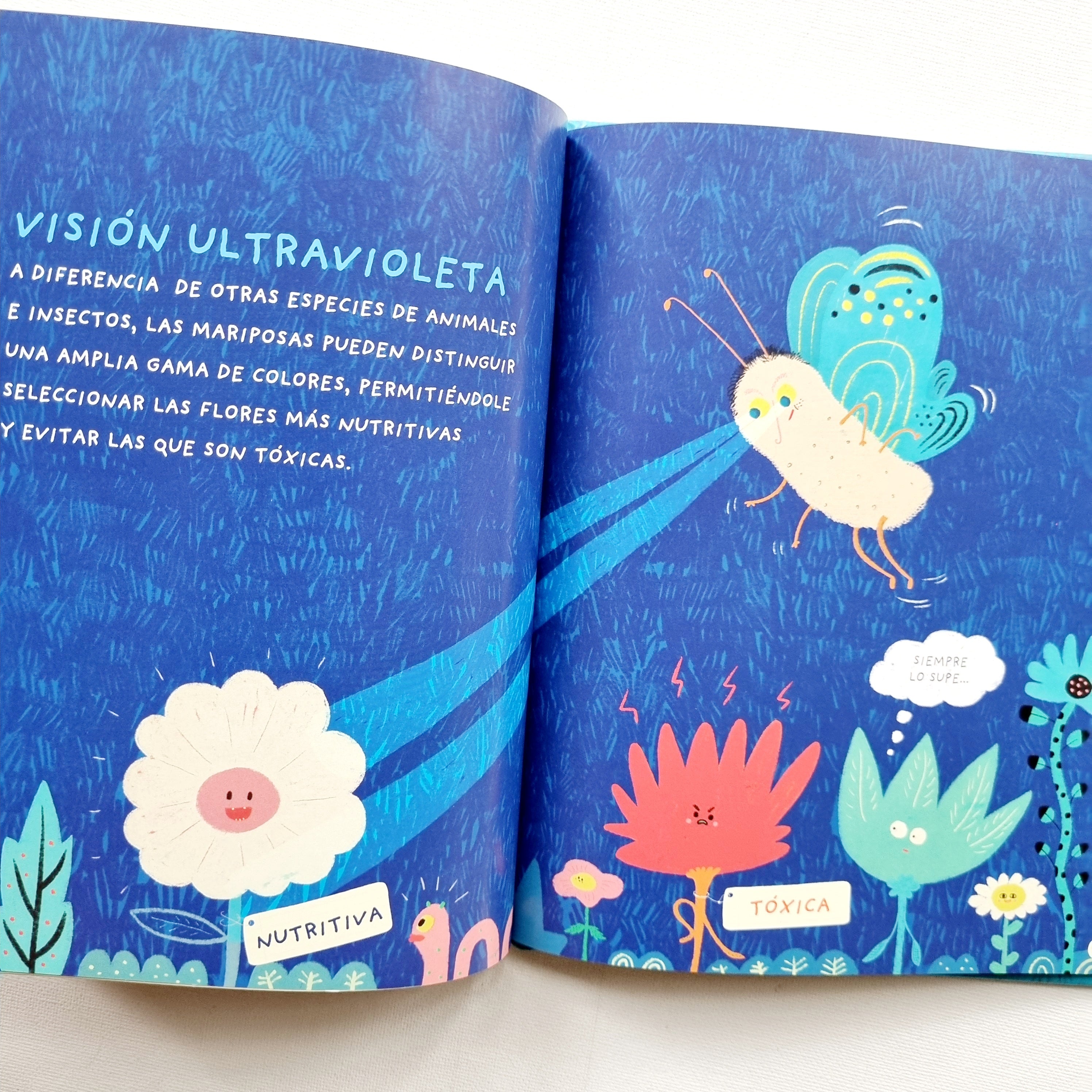 Maravillosas mariposas