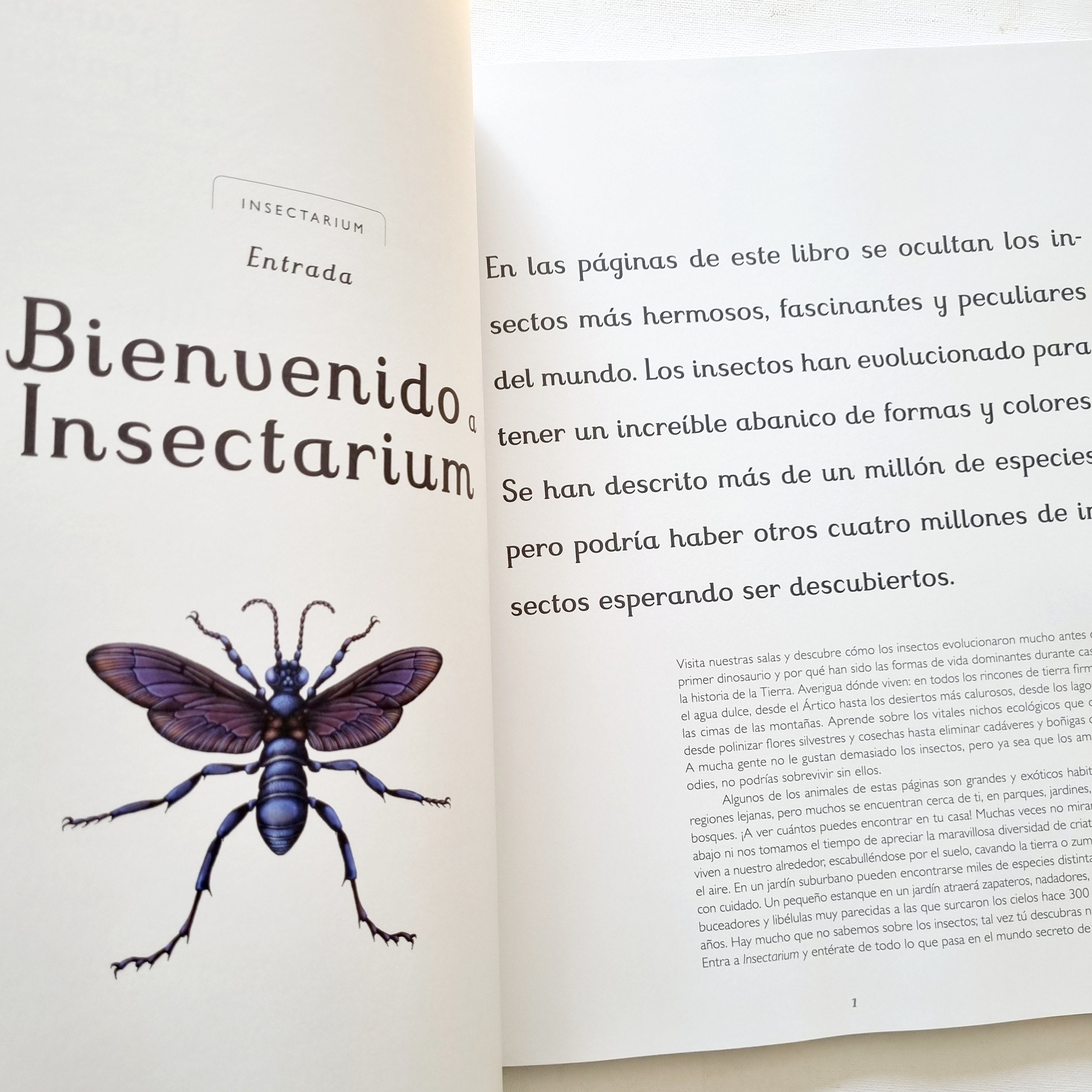 Insectarium