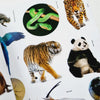 Atlas de animales con stickers