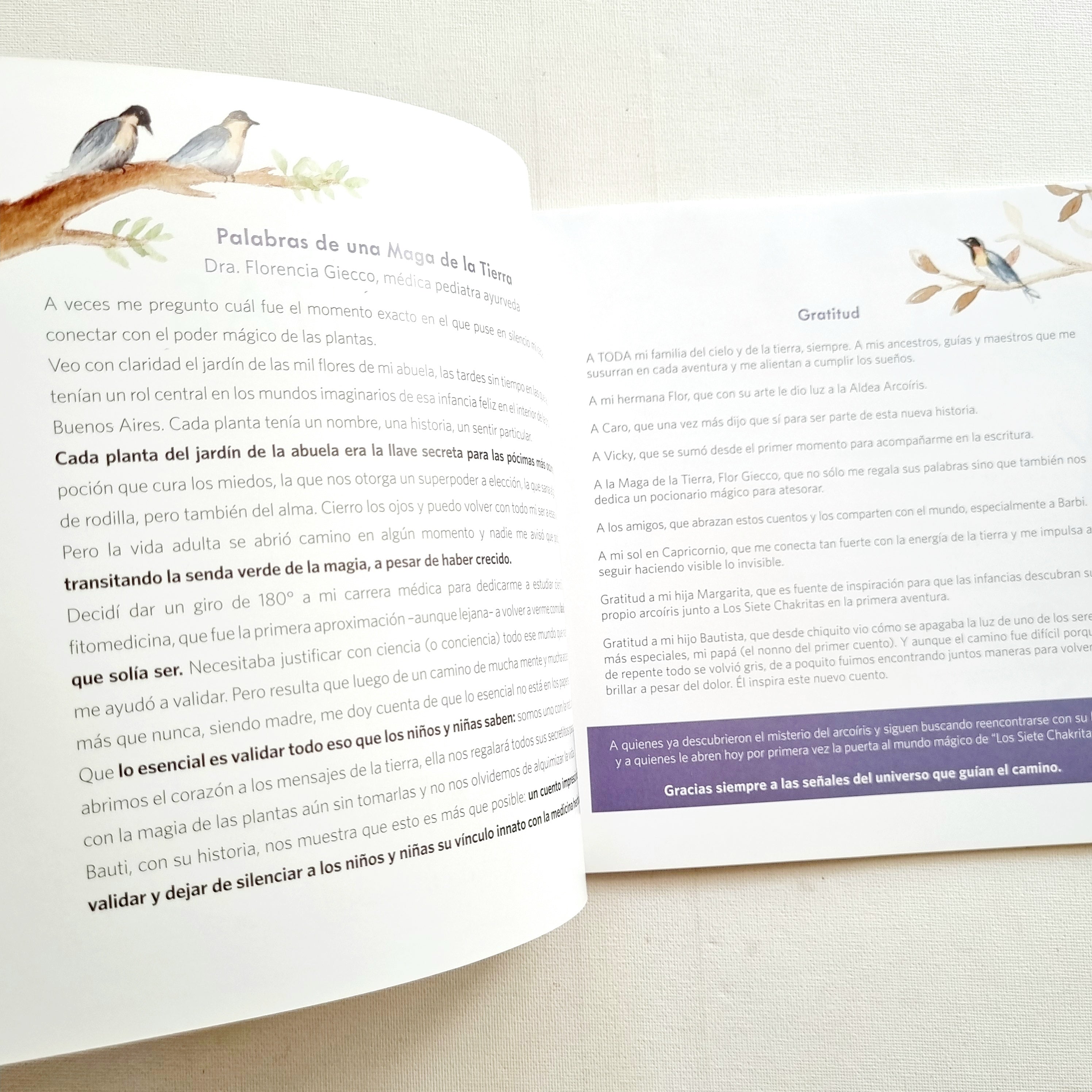 Los siete chakritas y el poder de las plantas mágicas