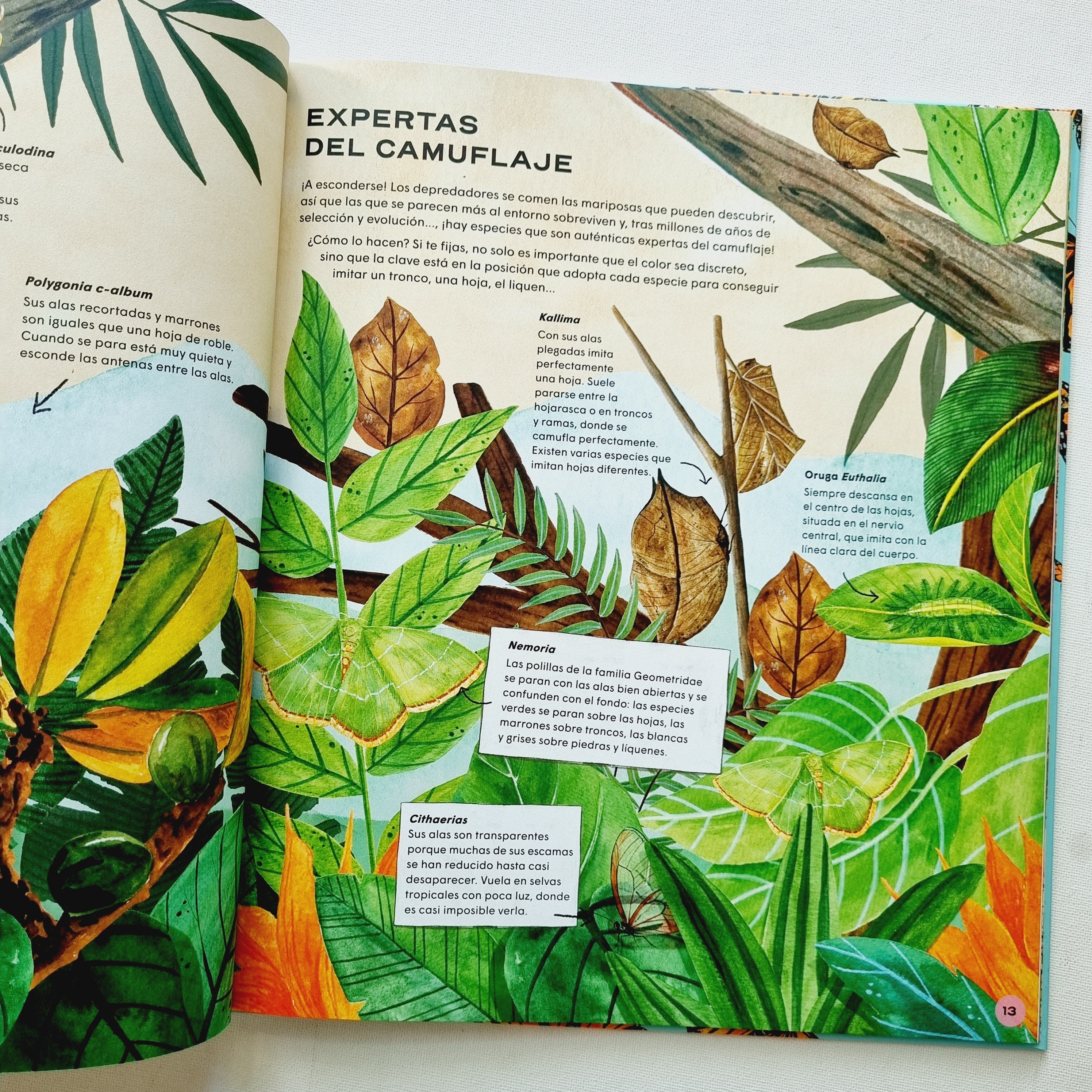 Mariposas. Vida secreta