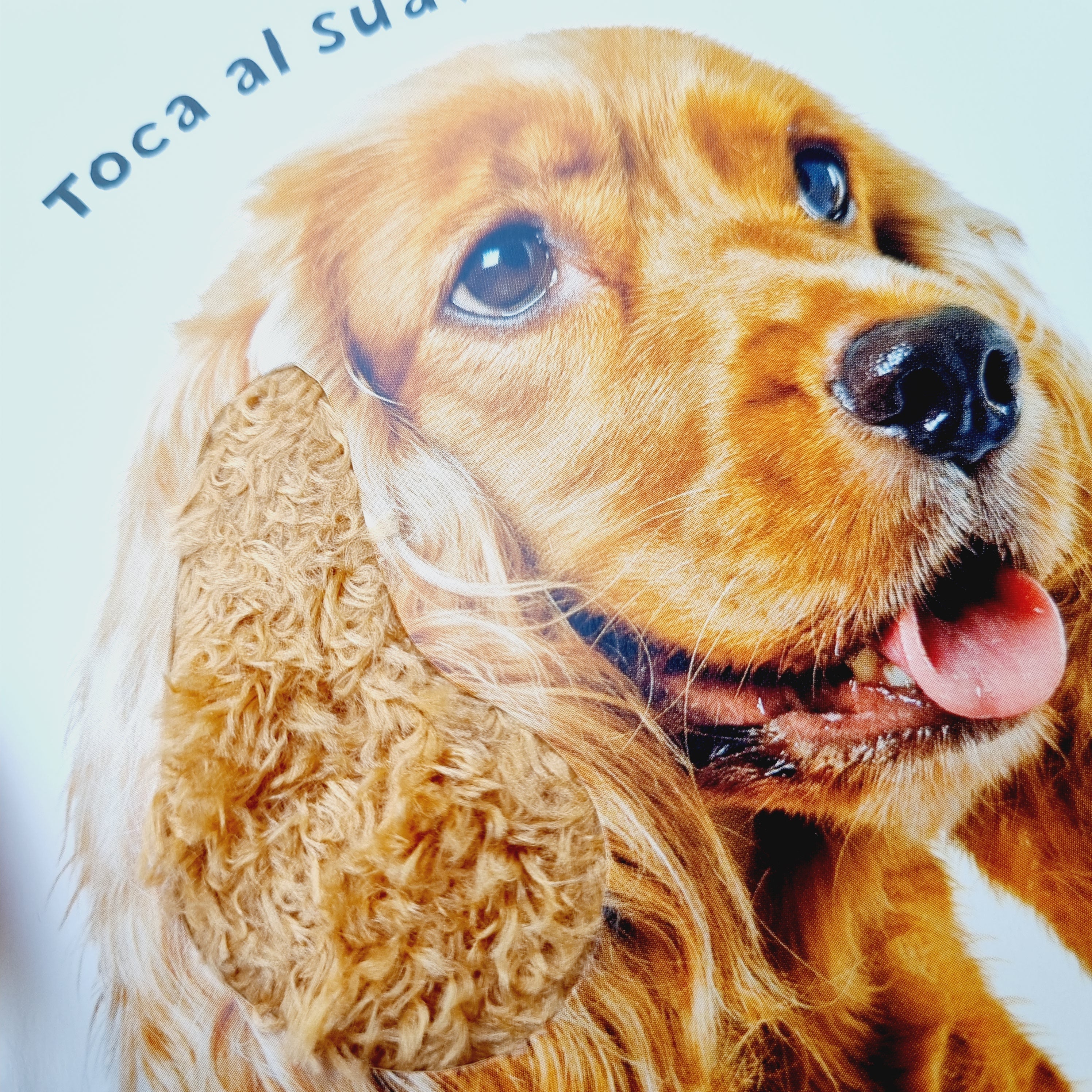 Animales. Mira, toca, siente