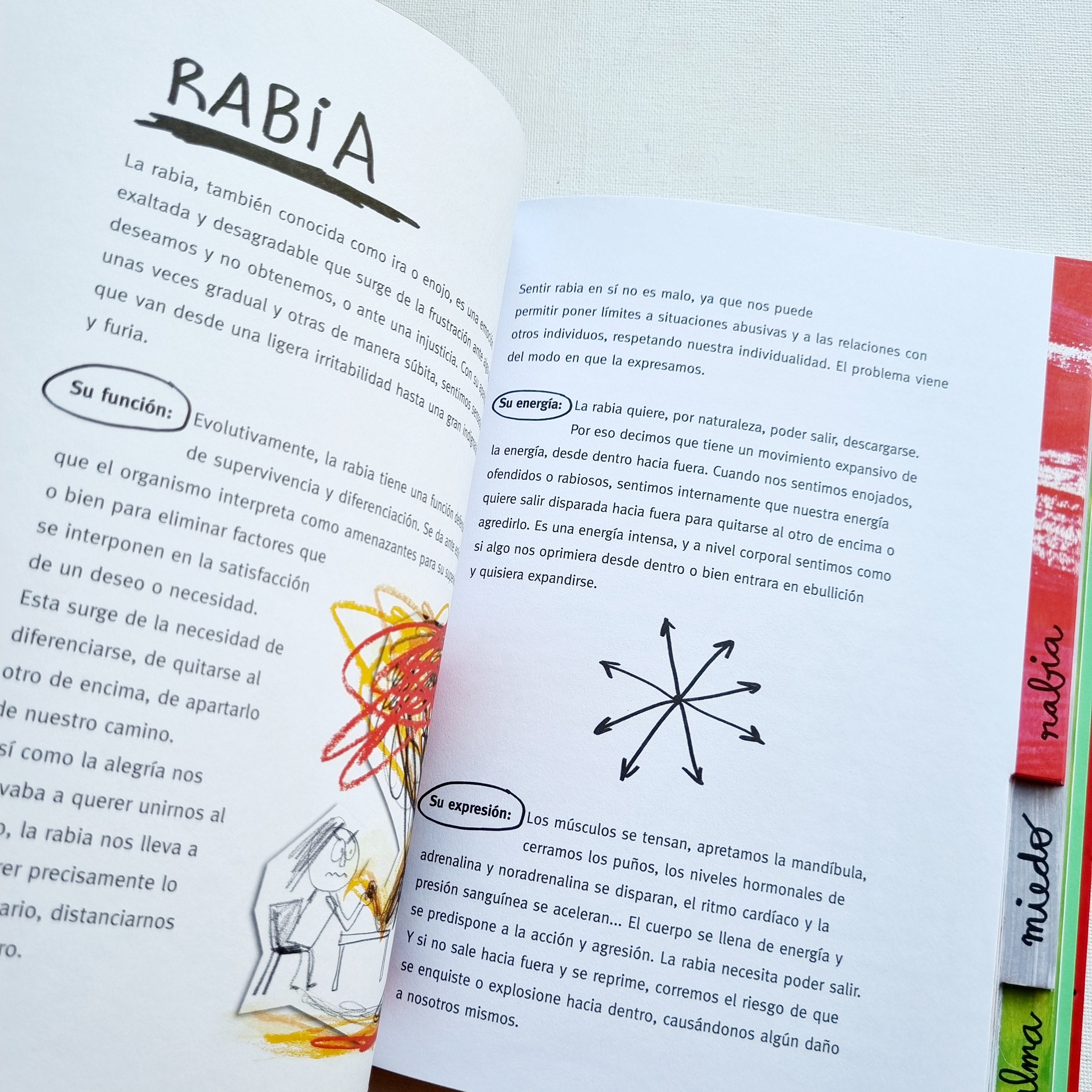 Diario de las emociones ( Edición con solapas)