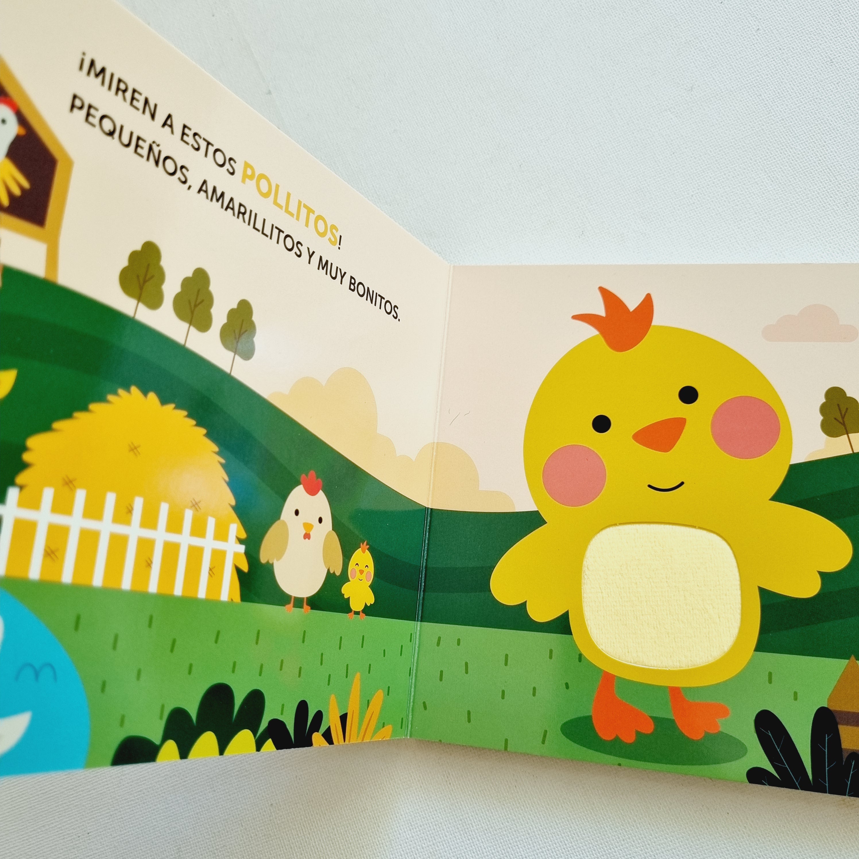 Animales de la granja. Texturas