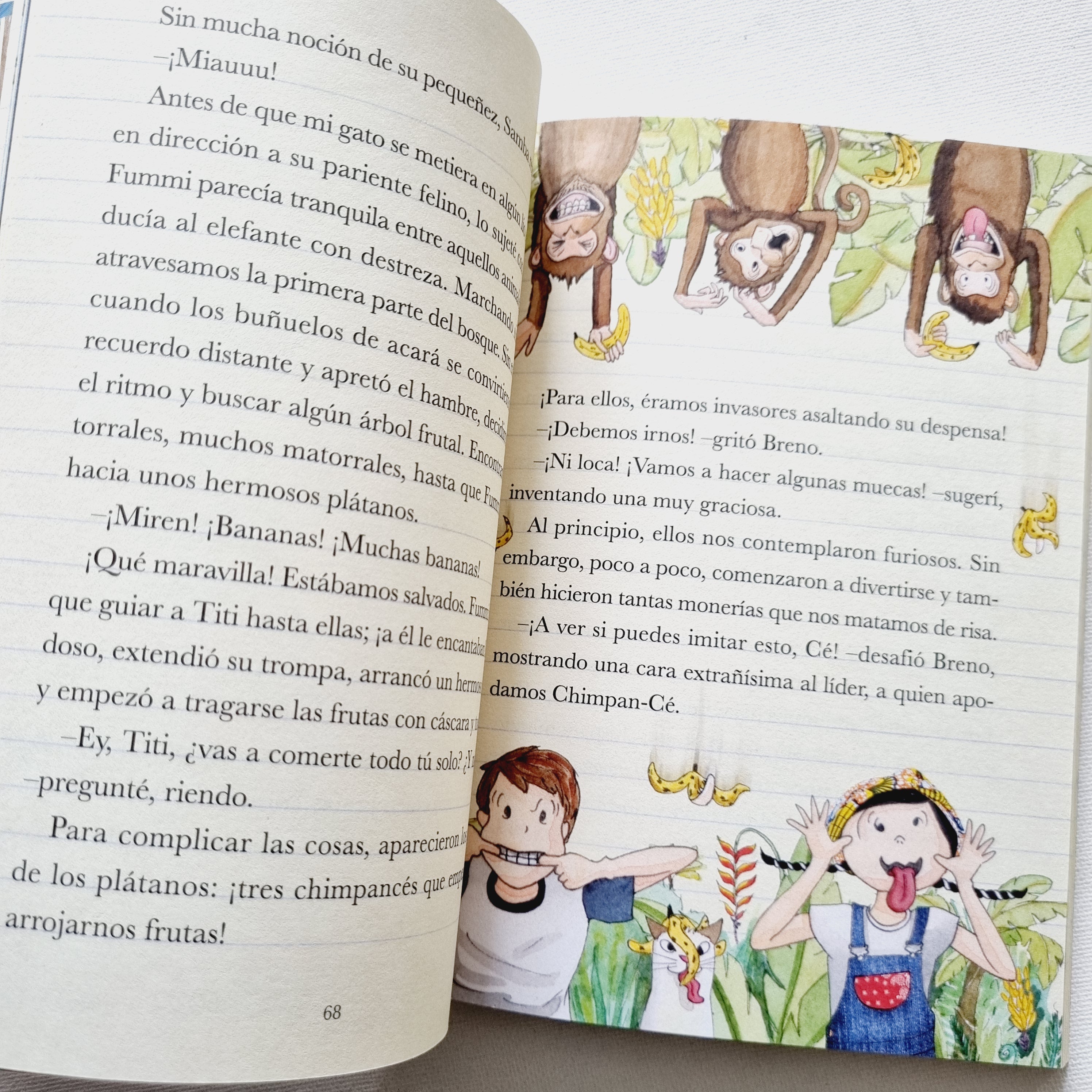 Diario de Pilar en África