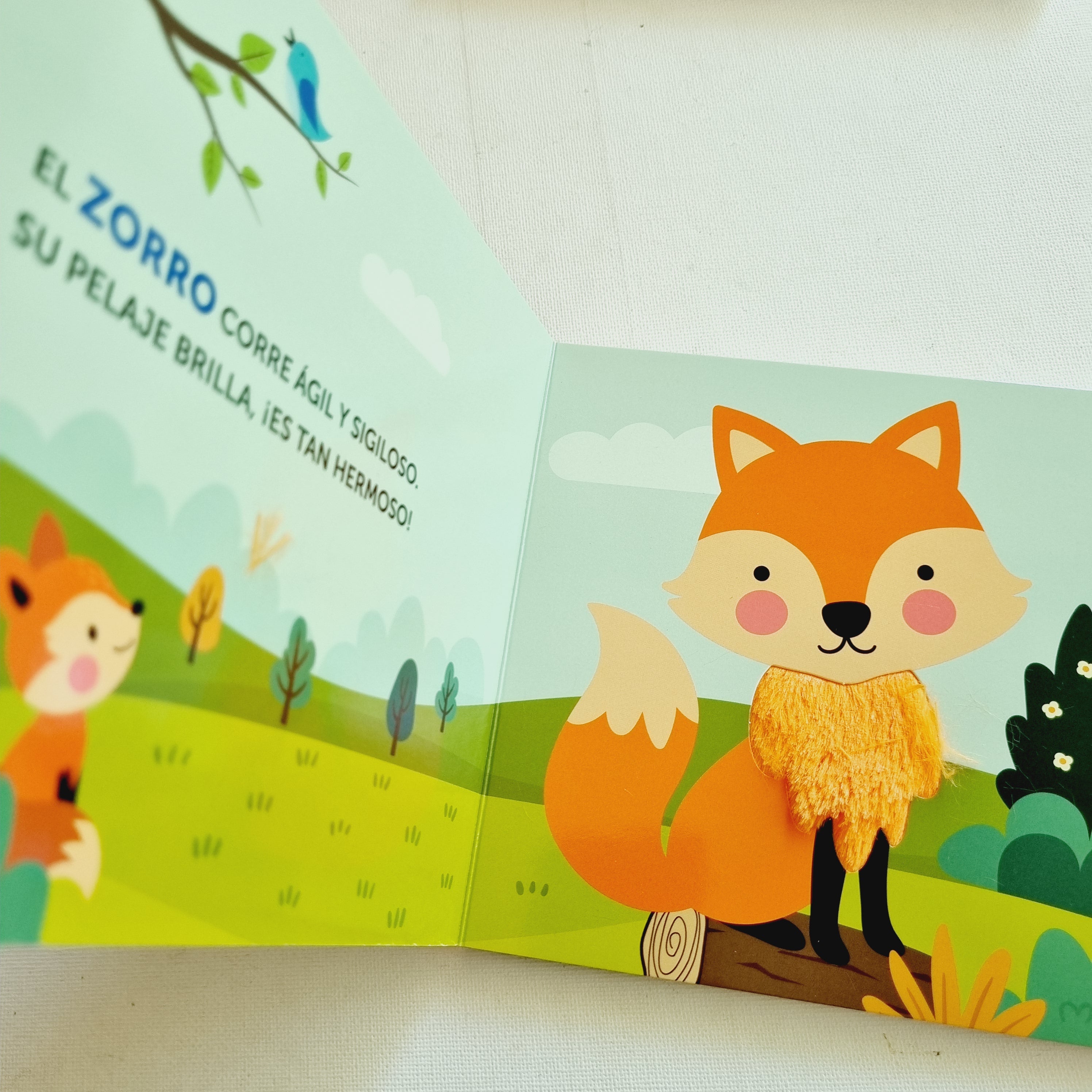 Animales del bosque. Texturas