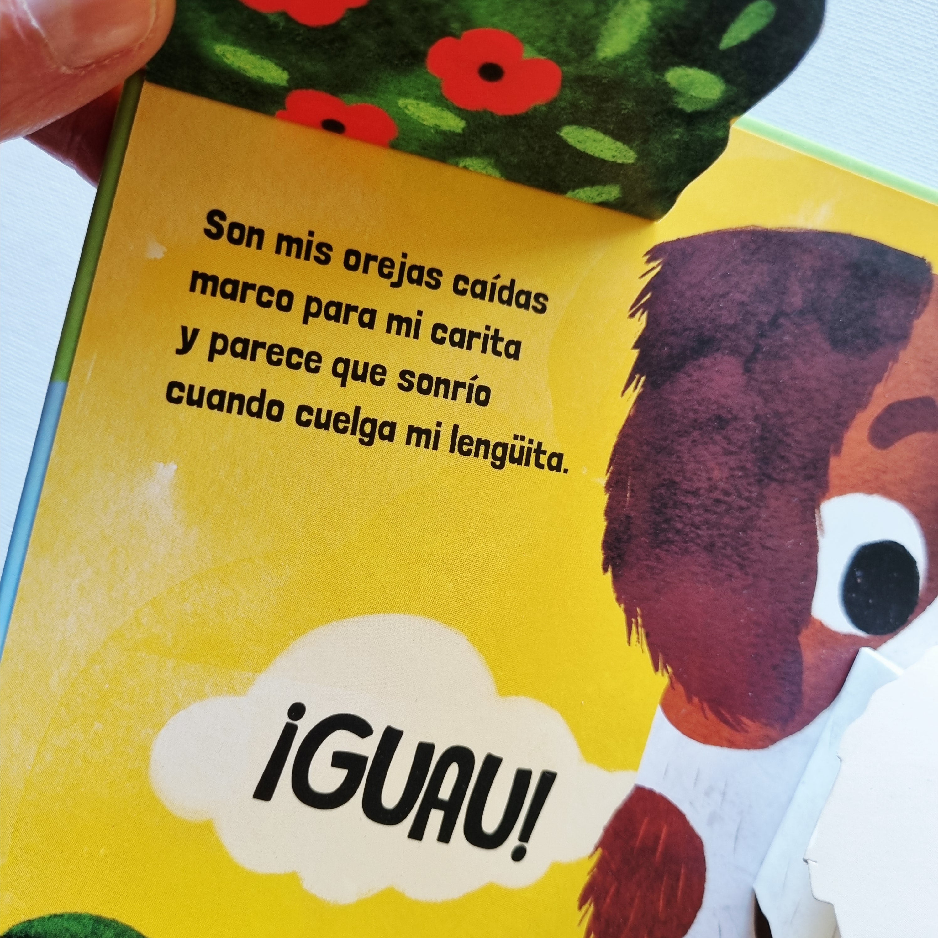 Mascotas . Chis Chas ¡Chomp!